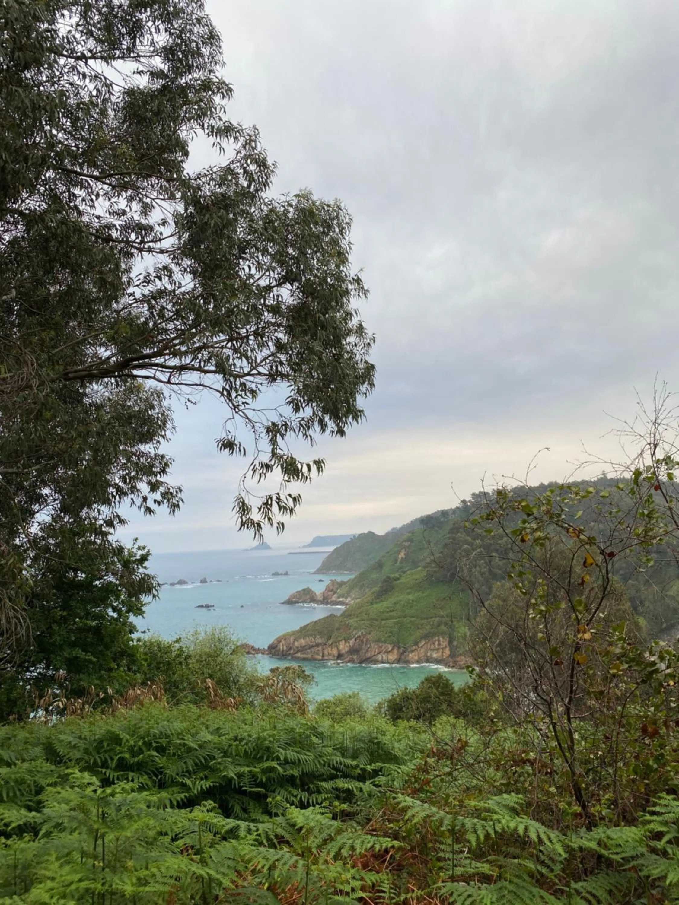 Natural landscape in Hotel Rural Playa de Aguilar