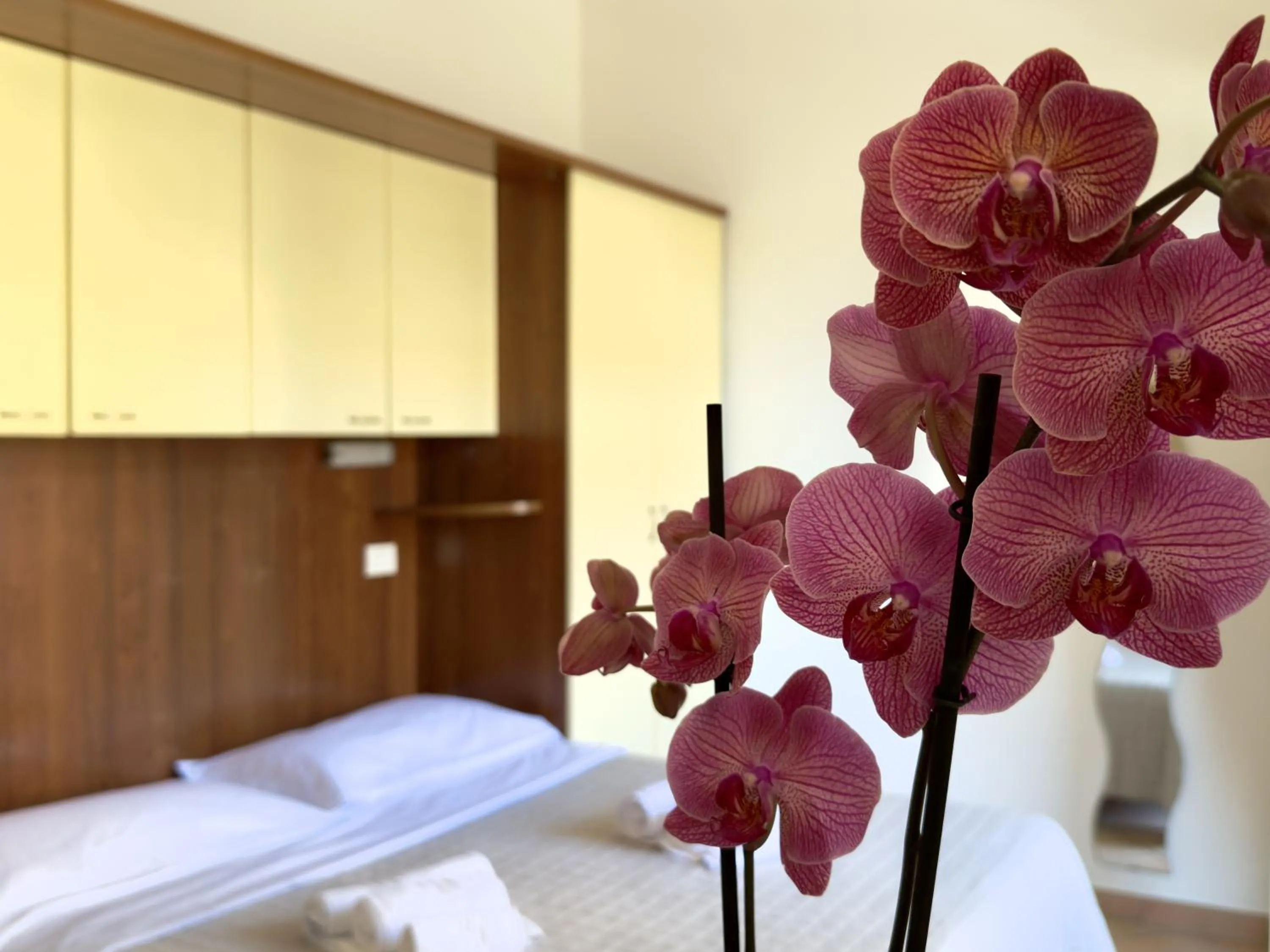 Residence Carioca