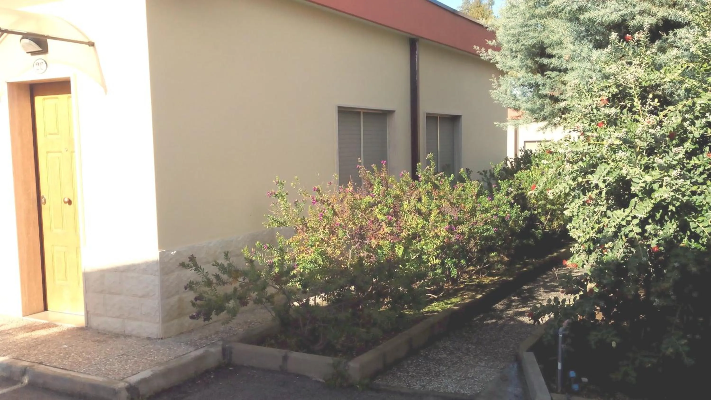 Garden in Hotel Giardino