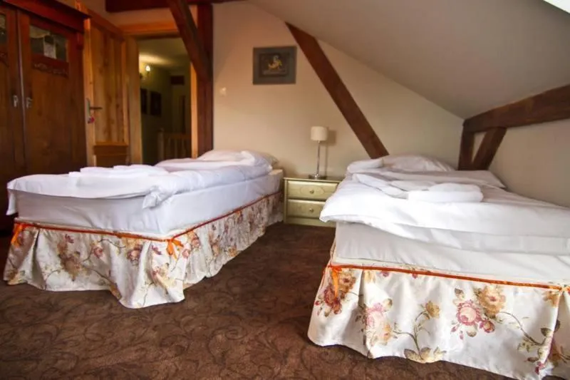 Twin Room - single occupancy in Leniwka