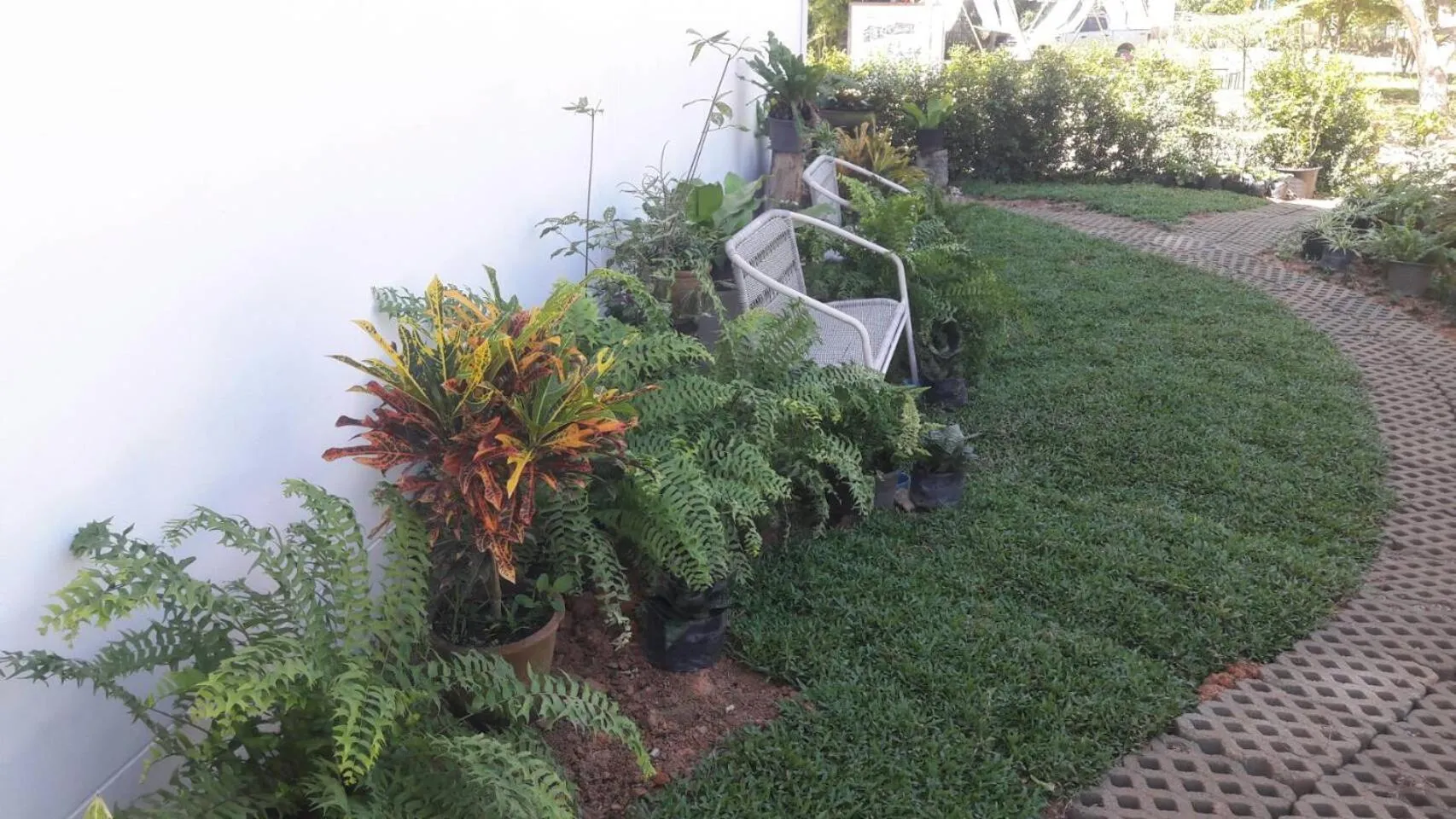 CoZy House Chiangrai