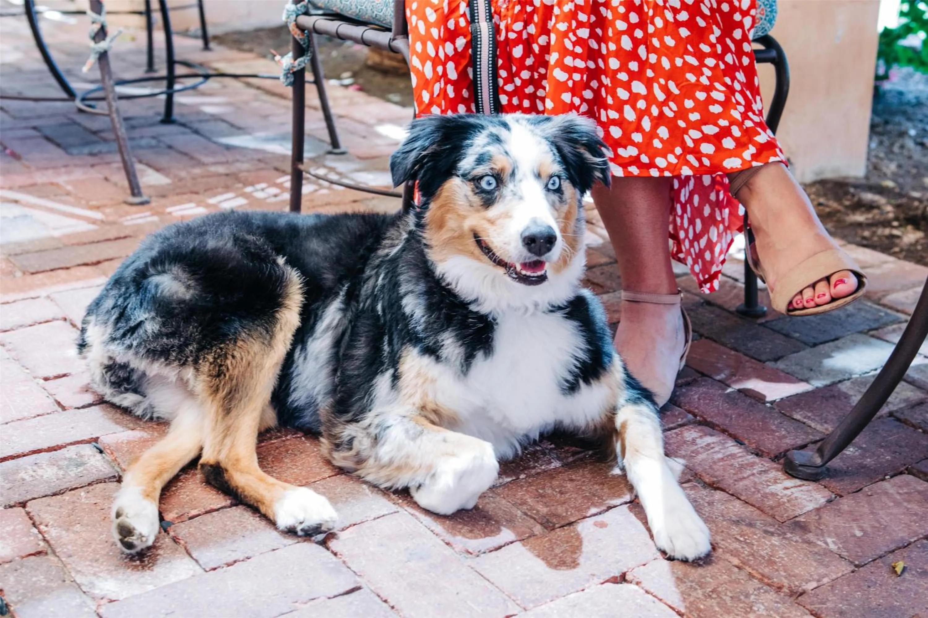 Patio in Royal Palms Resort and Spa, part of Hyatt
