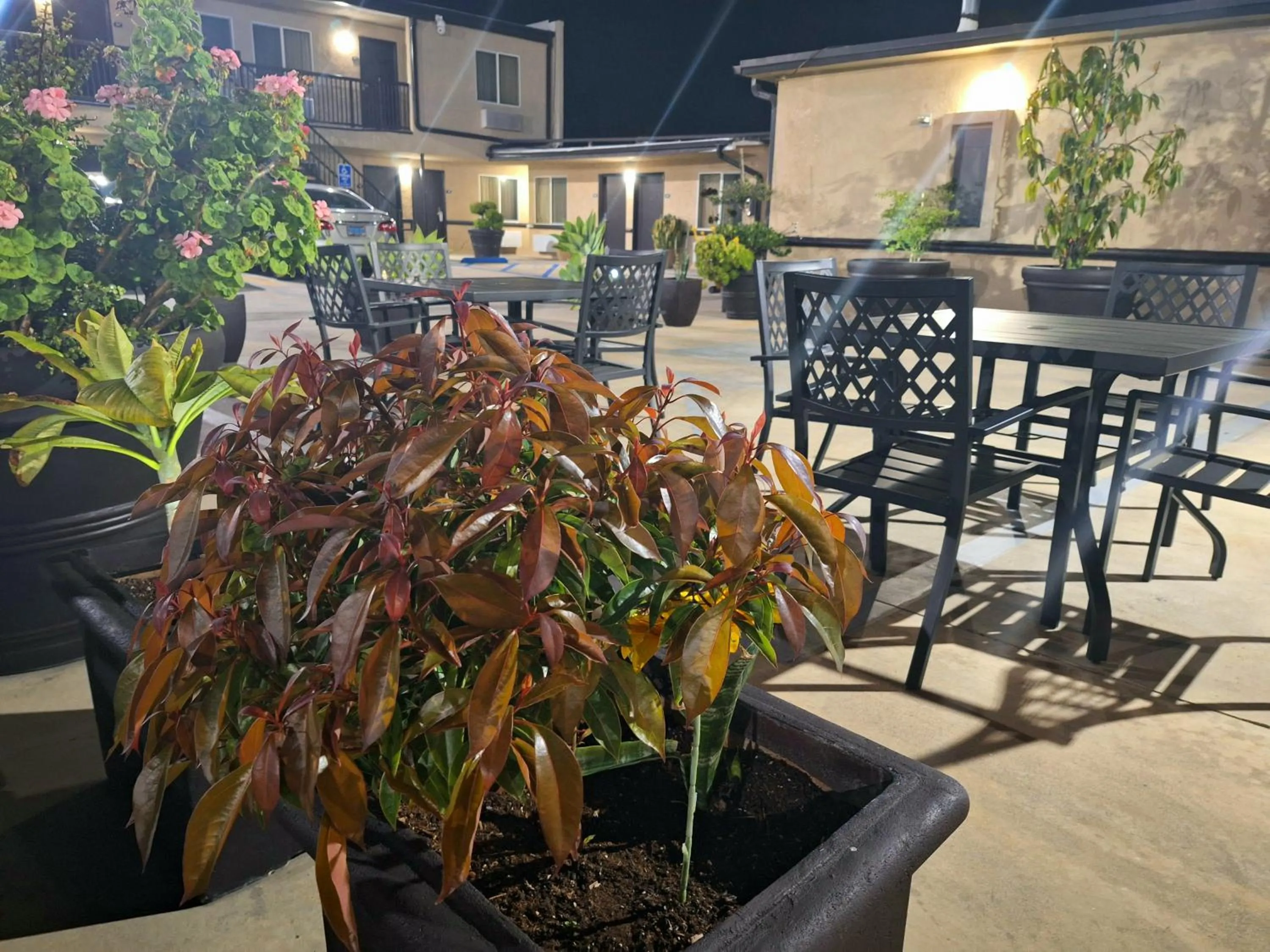 Patio in Portofino Inn Burbank
