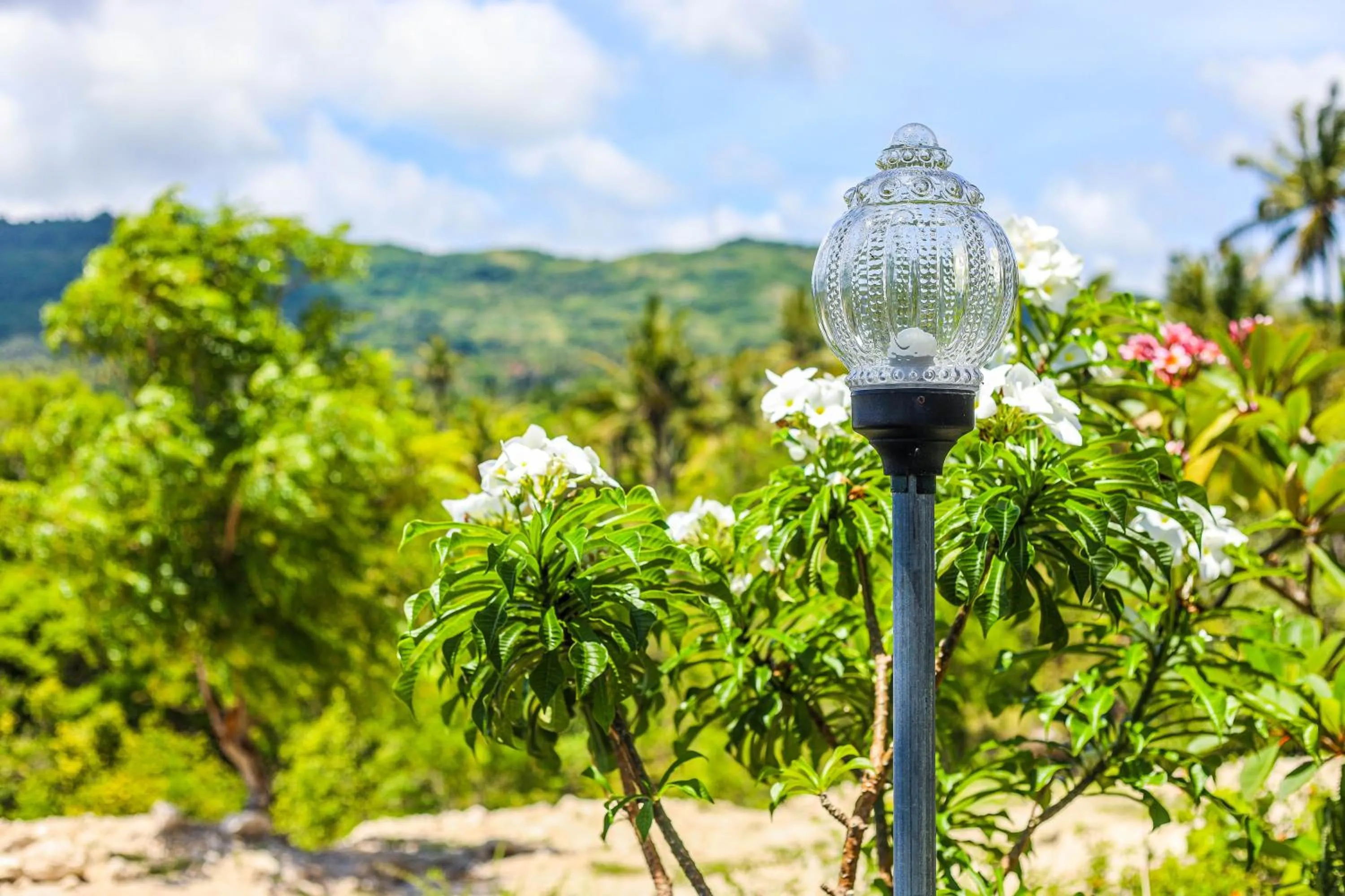 Day in Diamond Beach Bungalow