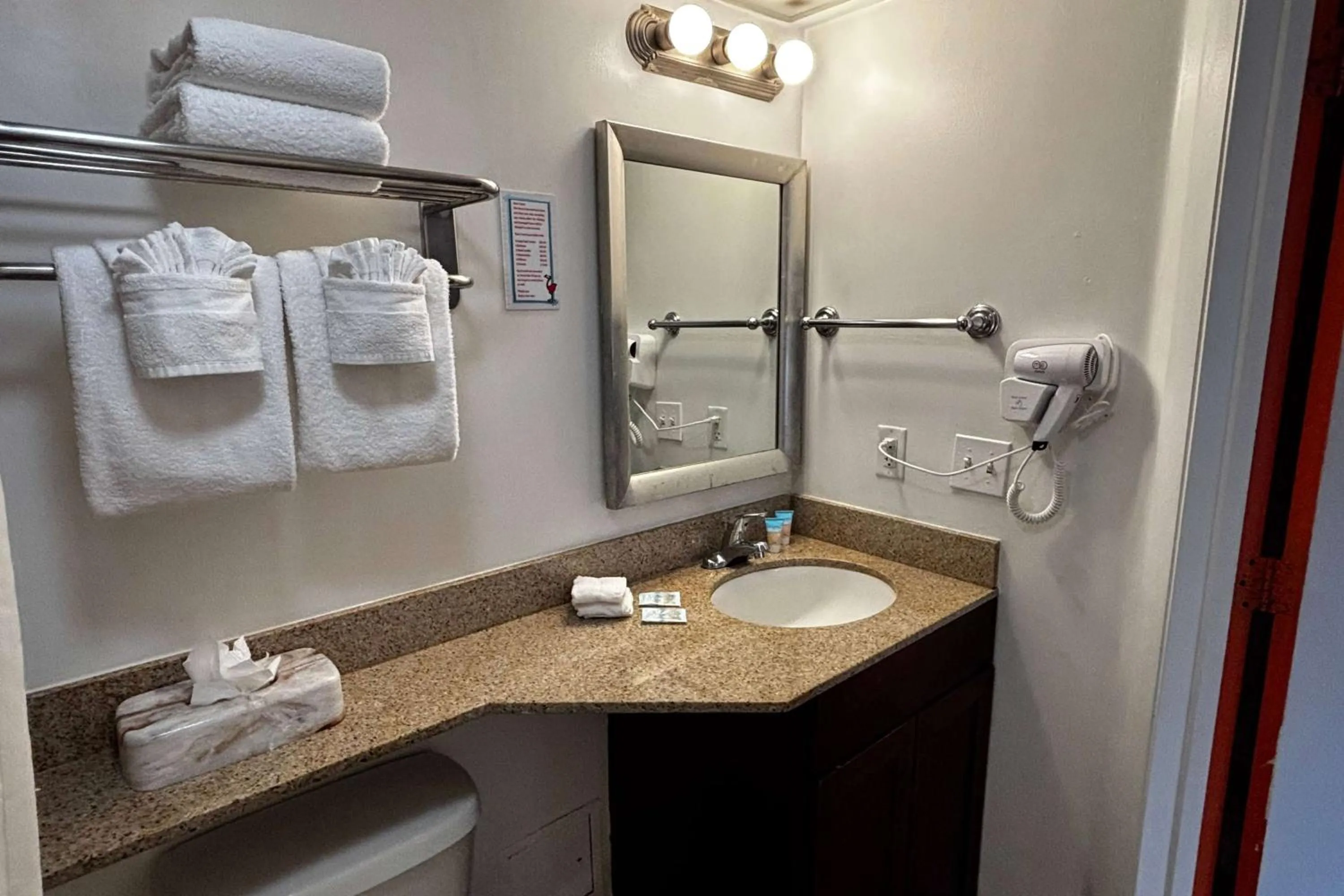 Bathroom in Ramada by Wyndham Flamingo Water Park