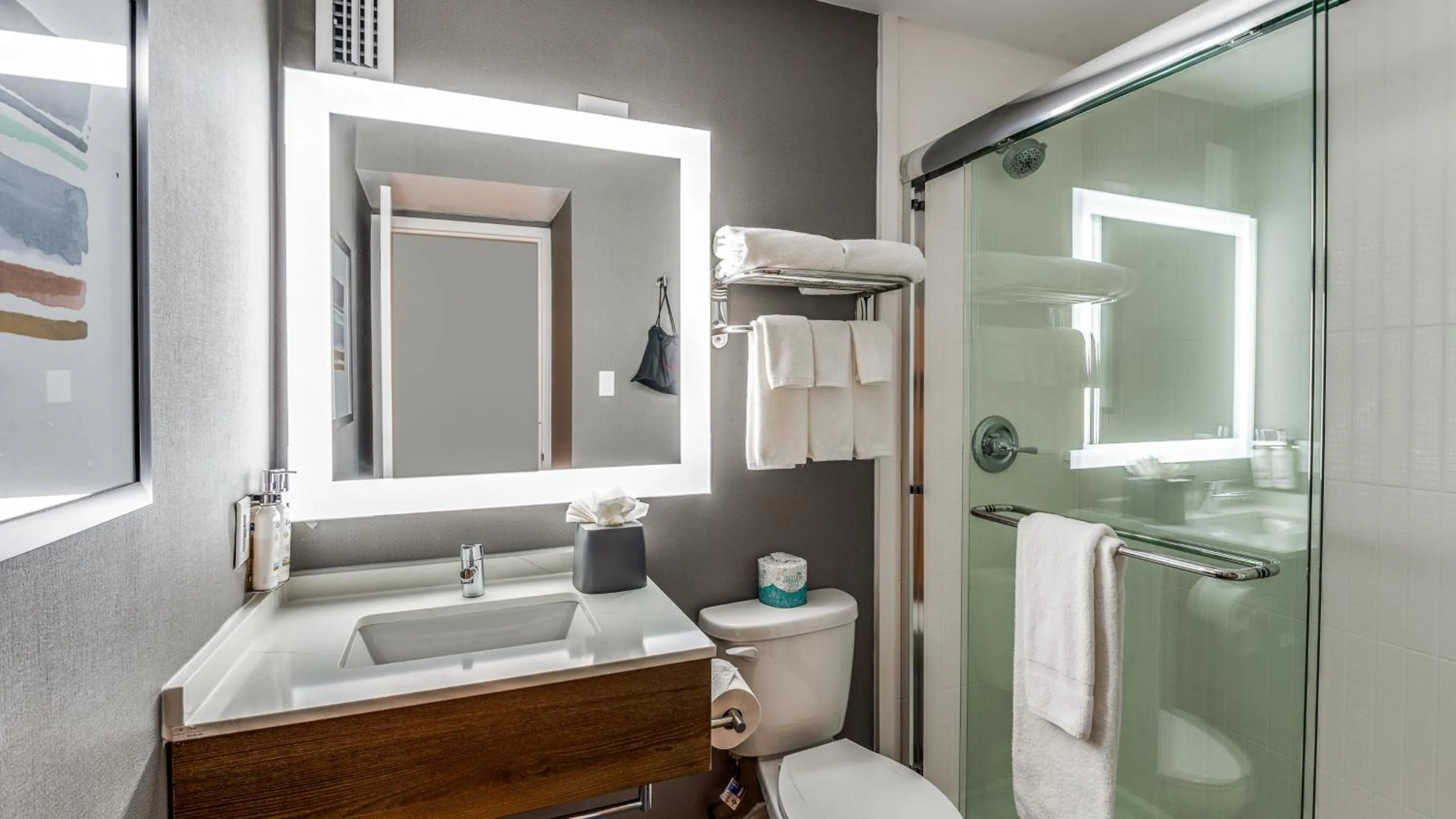 Bathroom in Staybridge Suites Dallas Market Ctr Love Field by IHG