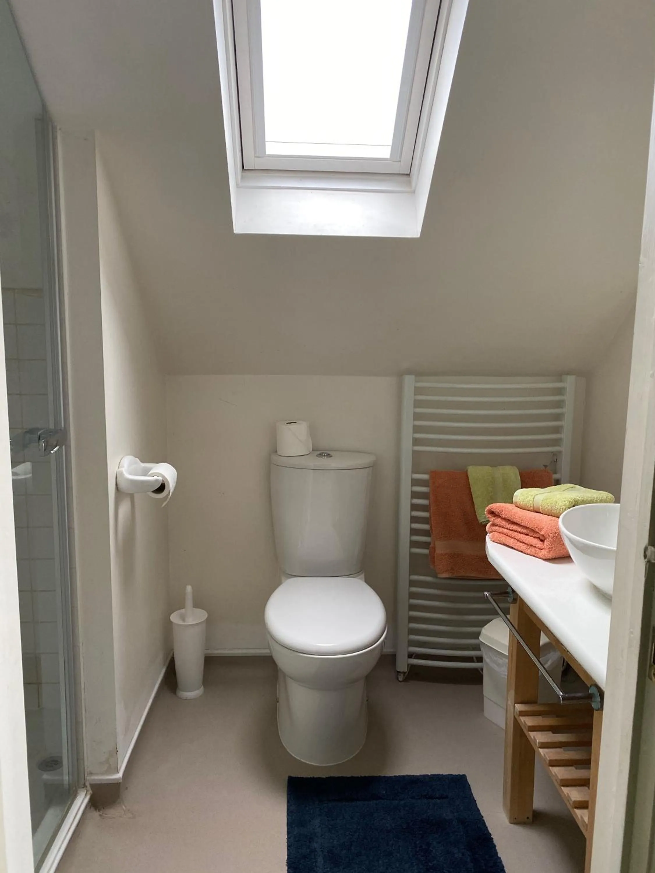 Shower in Herb Cottage