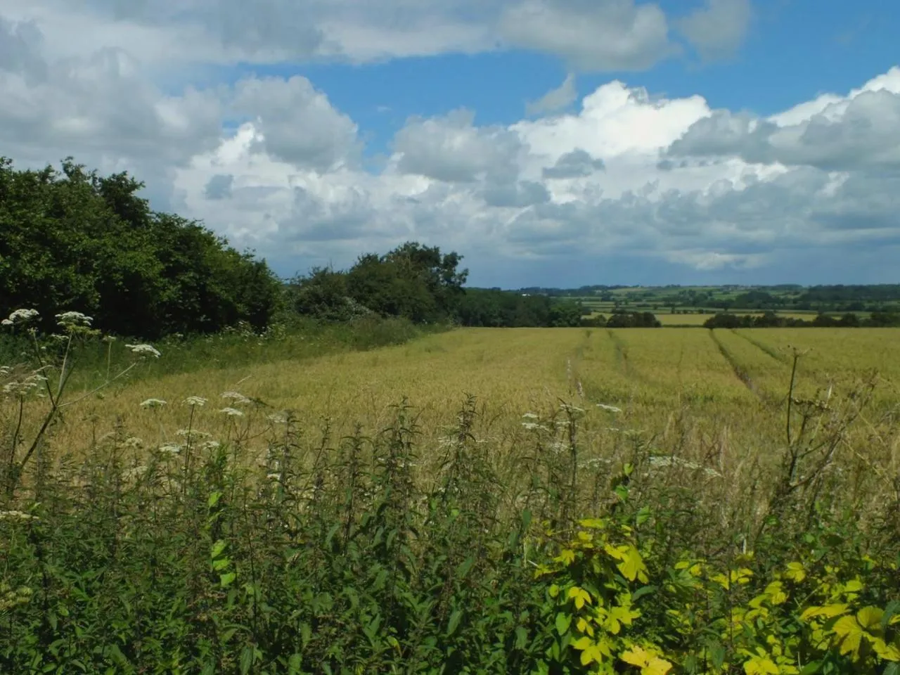Natural landscape in Herb Cottage