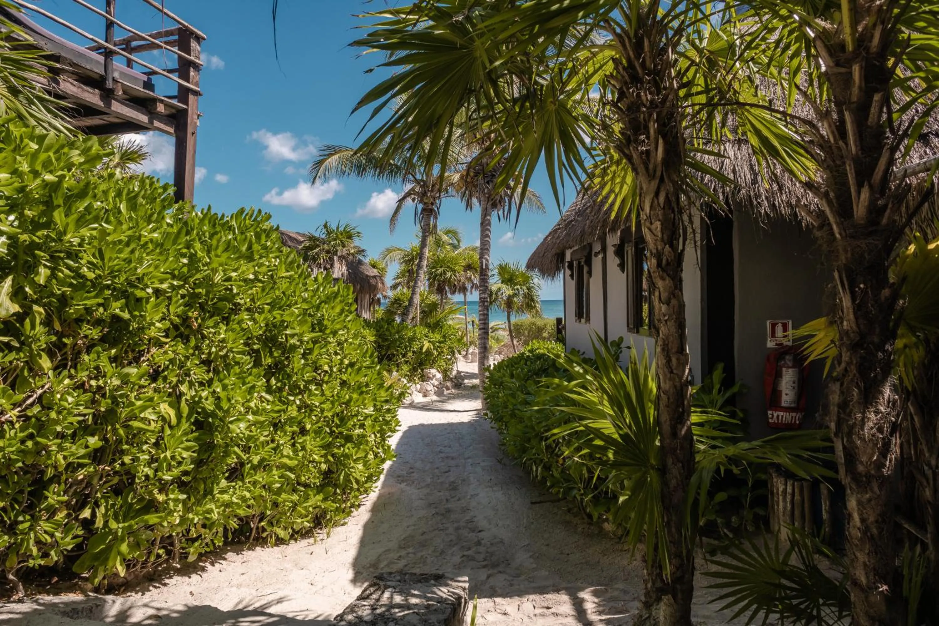 Garden view in Playa Esperanza Tulum