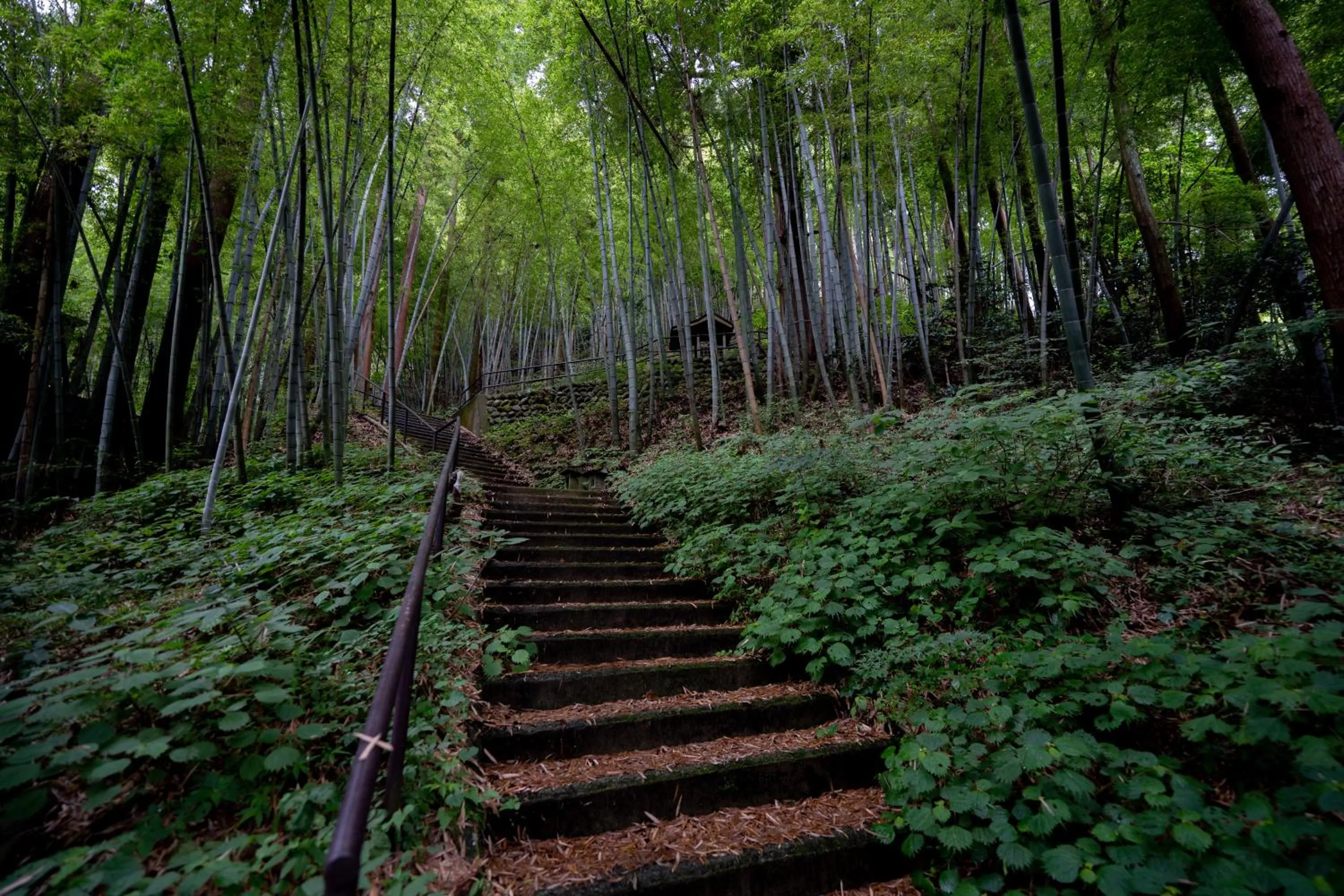 Off site in Sakahijiri Nikko