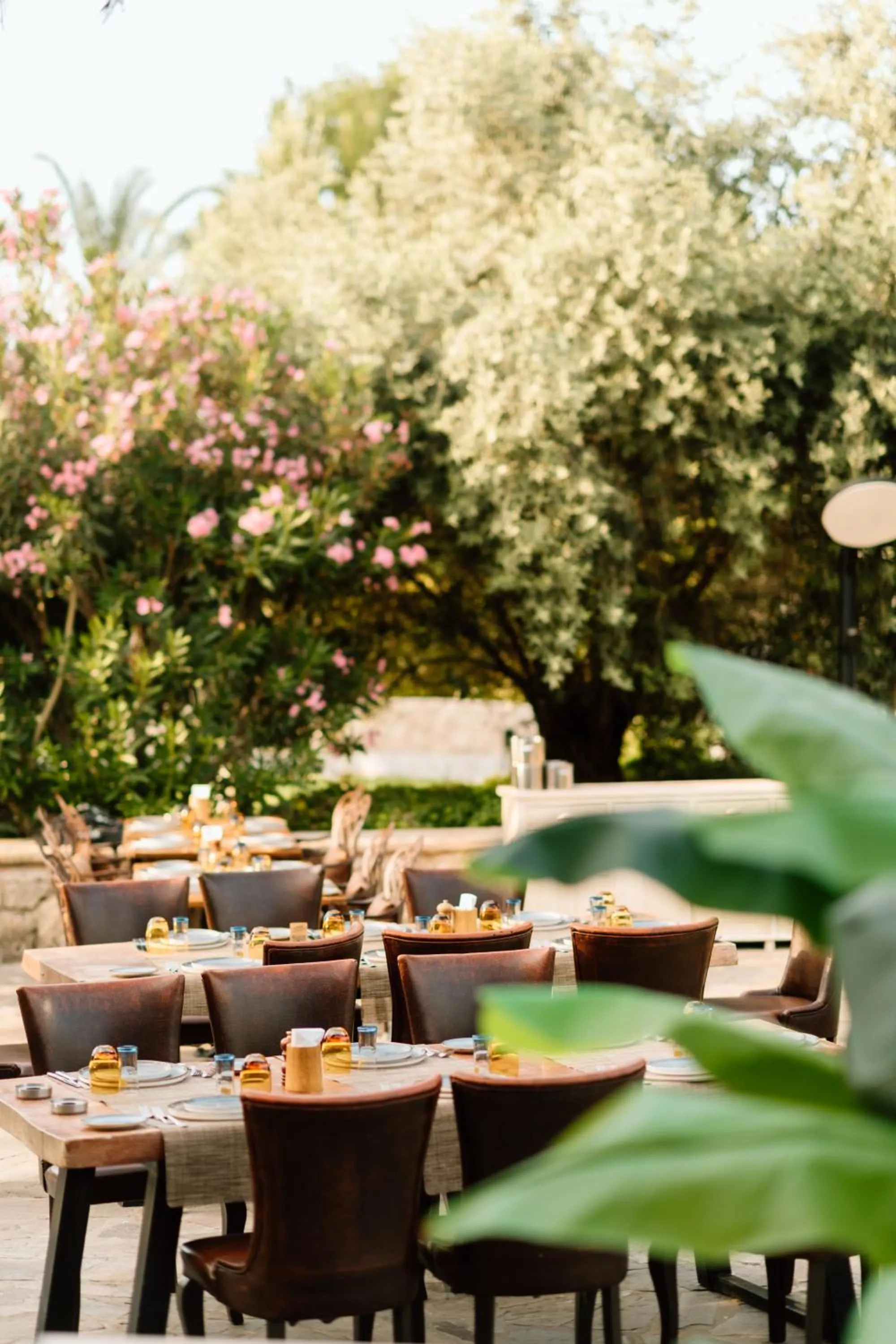 Restaurant/places to eat in Lords Palace Hotel SPA Casino