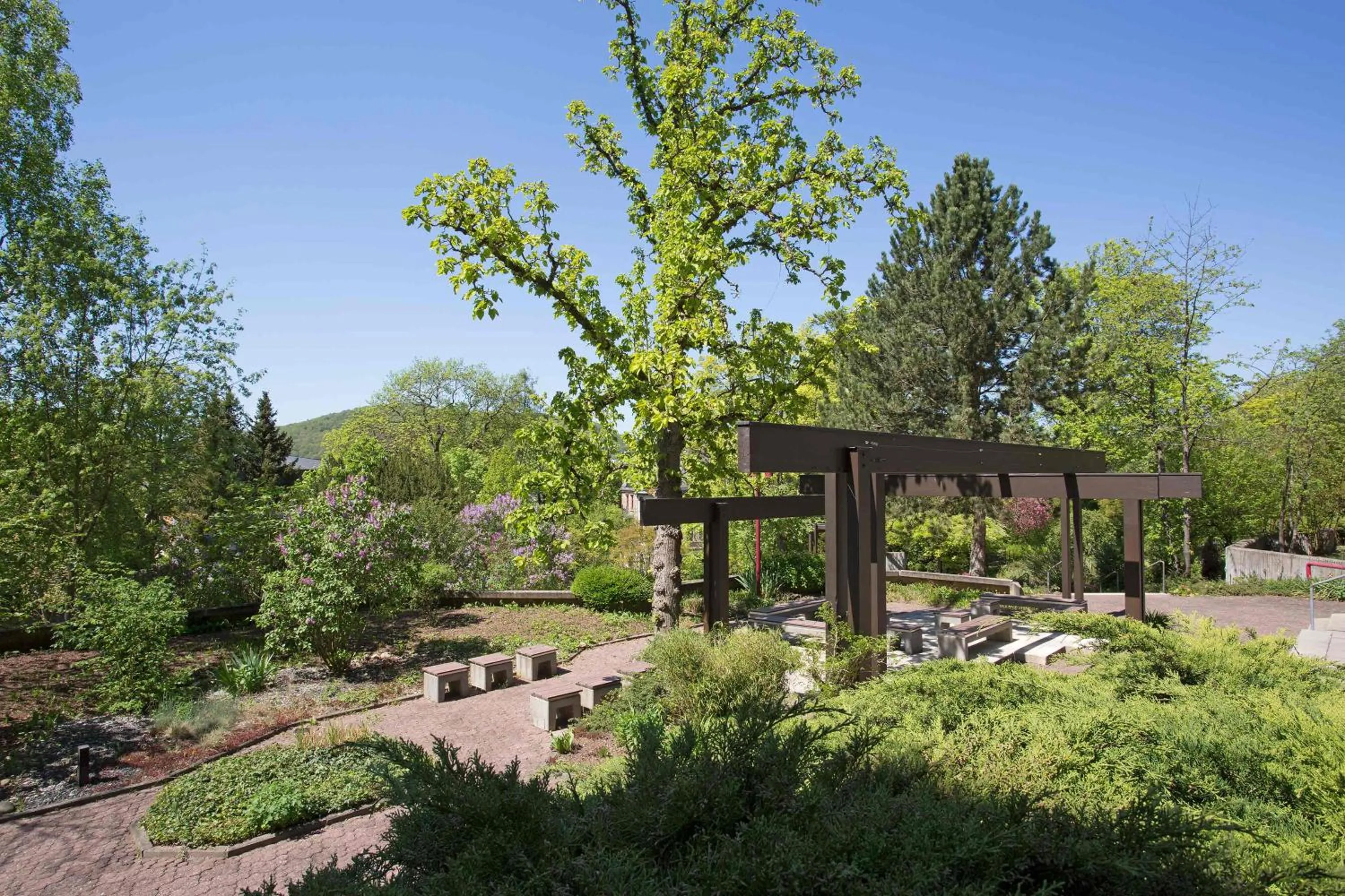 Garden in Parkhotel CUP VITALIS