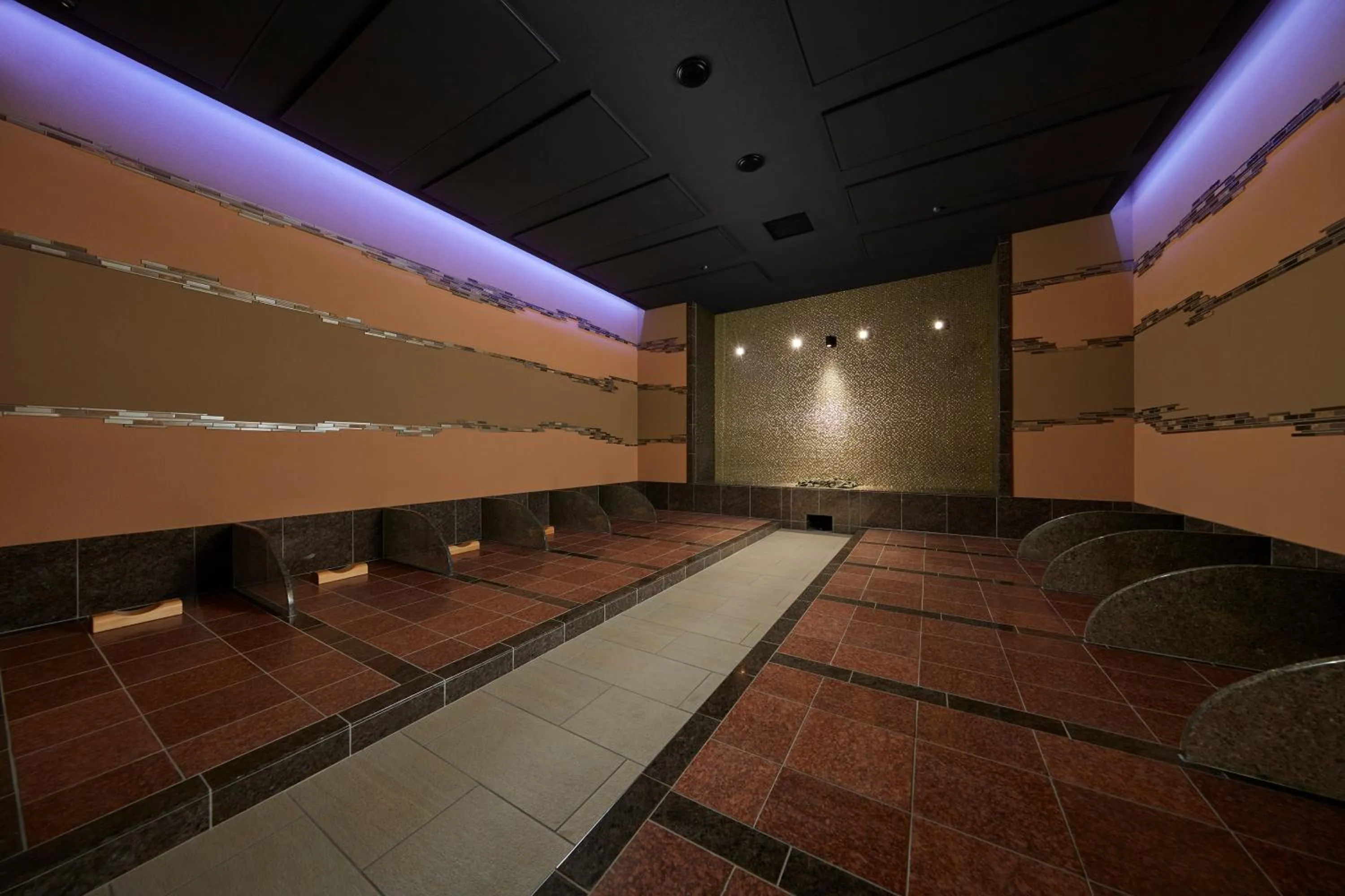 Area and facilities in Villa Fontaine Grand Tokyo Ariake