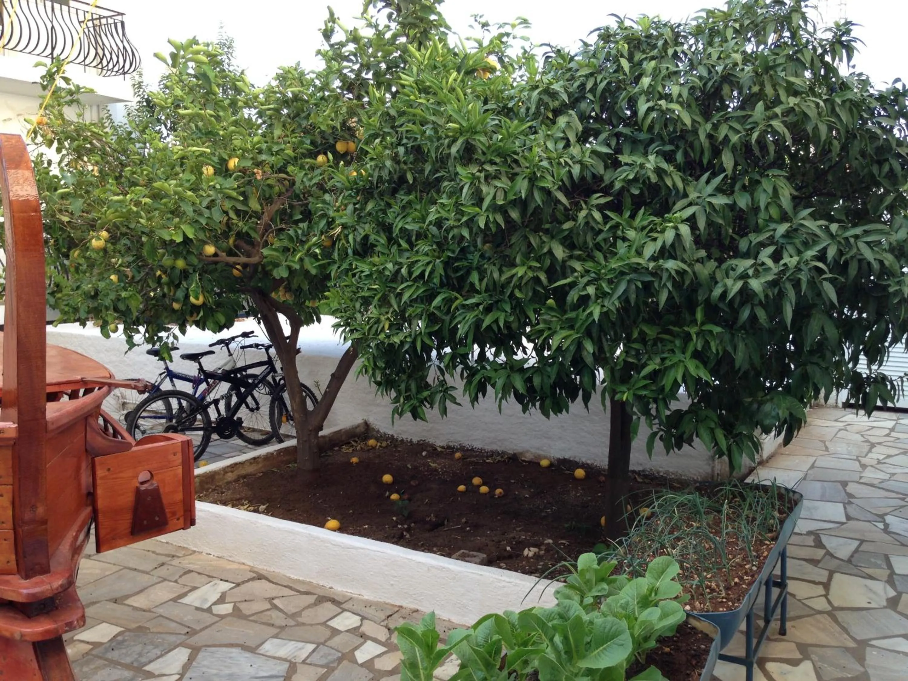 Spring in Remezzo Apartments