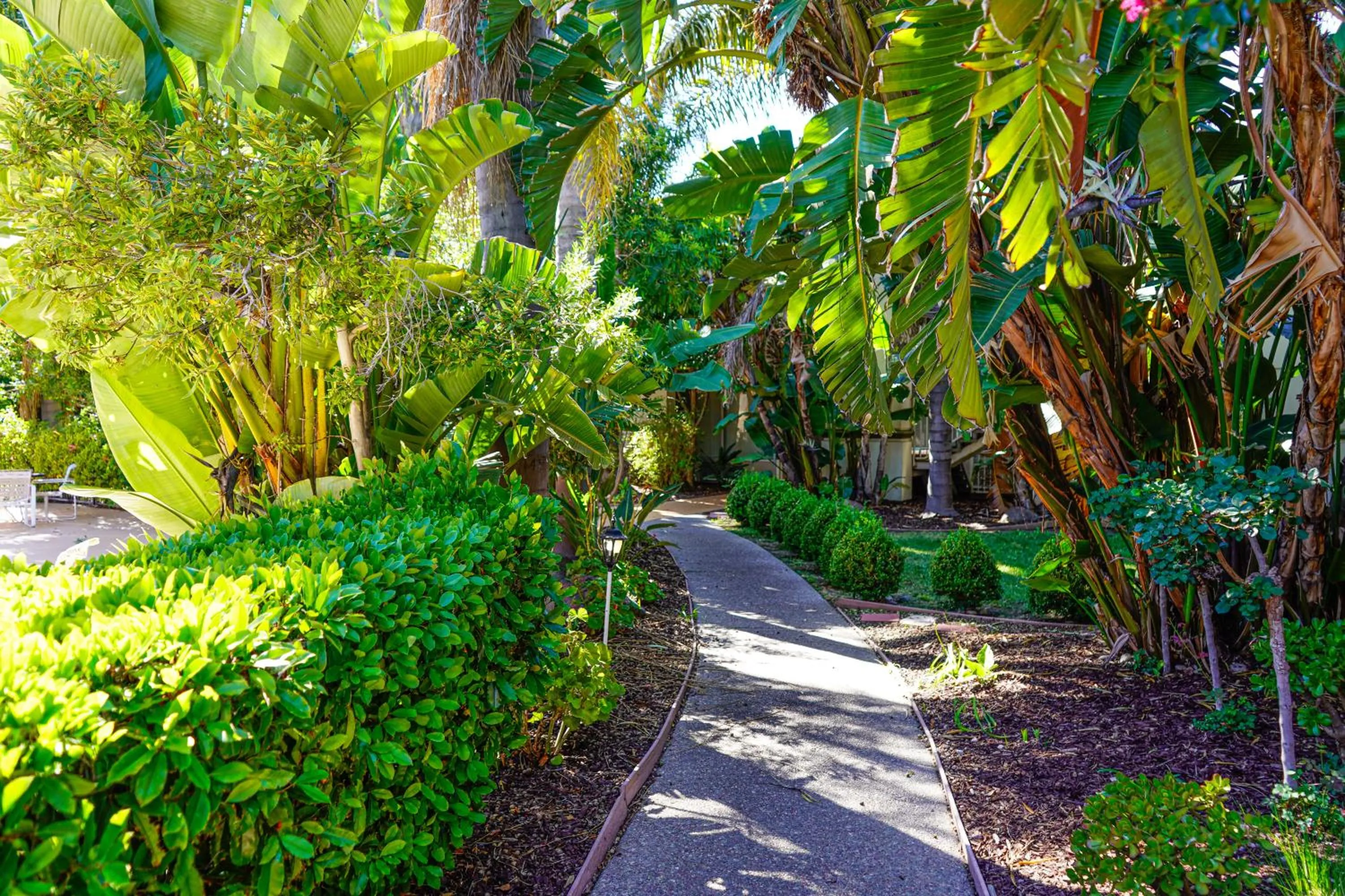 Spring in Uptown Oasis San Jose Airport & Silicon Valley