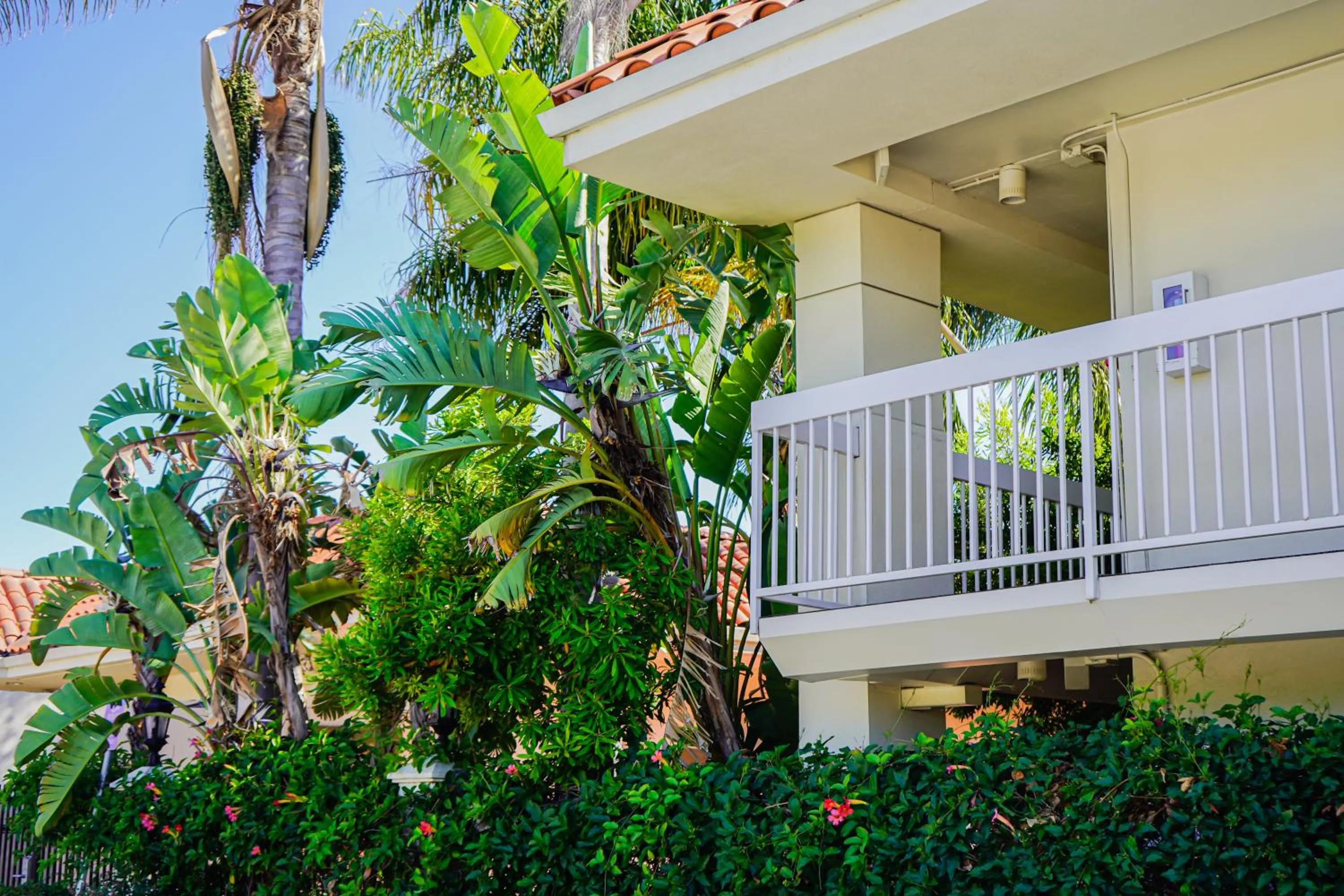 Property building in Uptown Oasis San Jose Airport & Silicon Valley