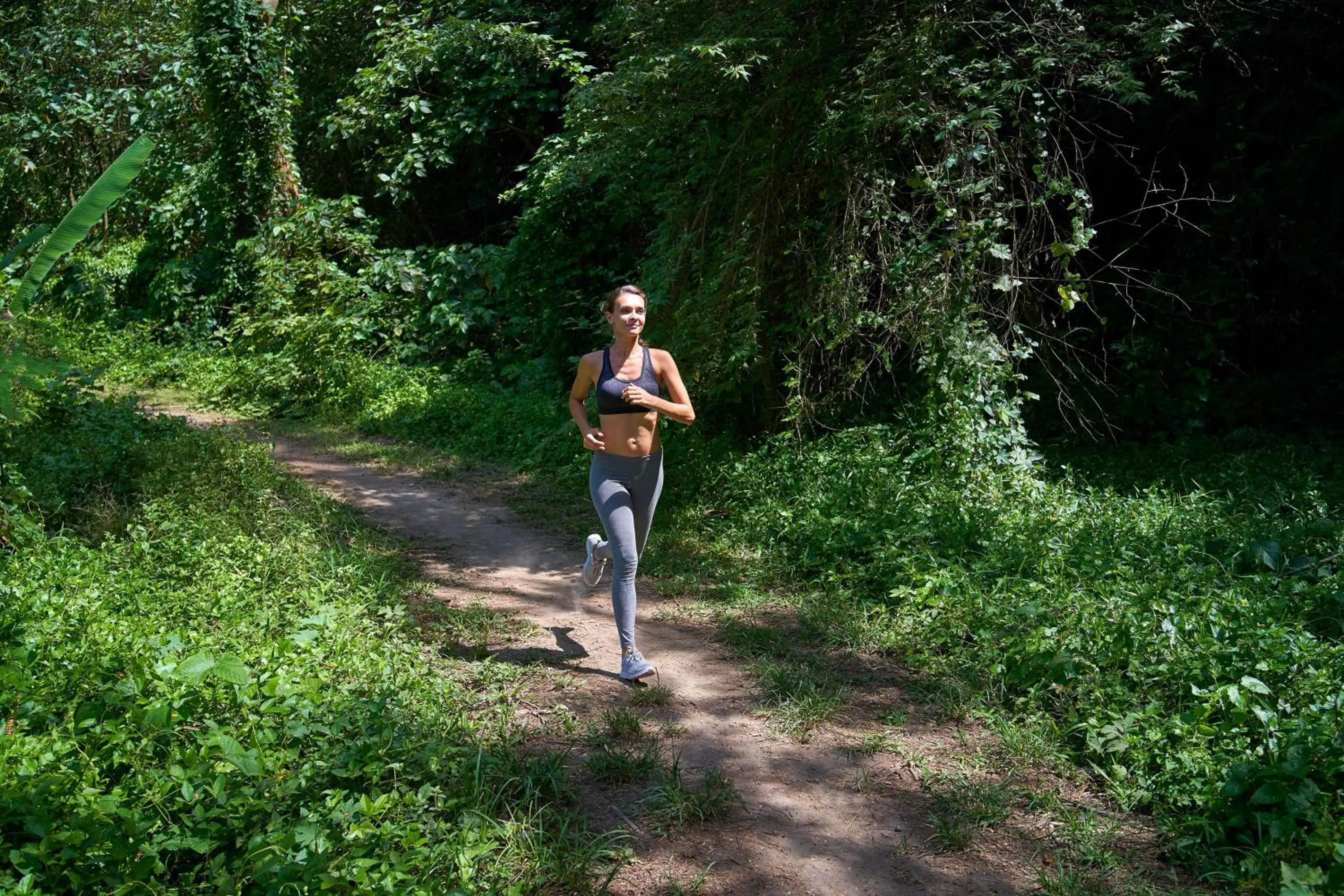 Other in The Westin Resort & Spa Ubud, Bali