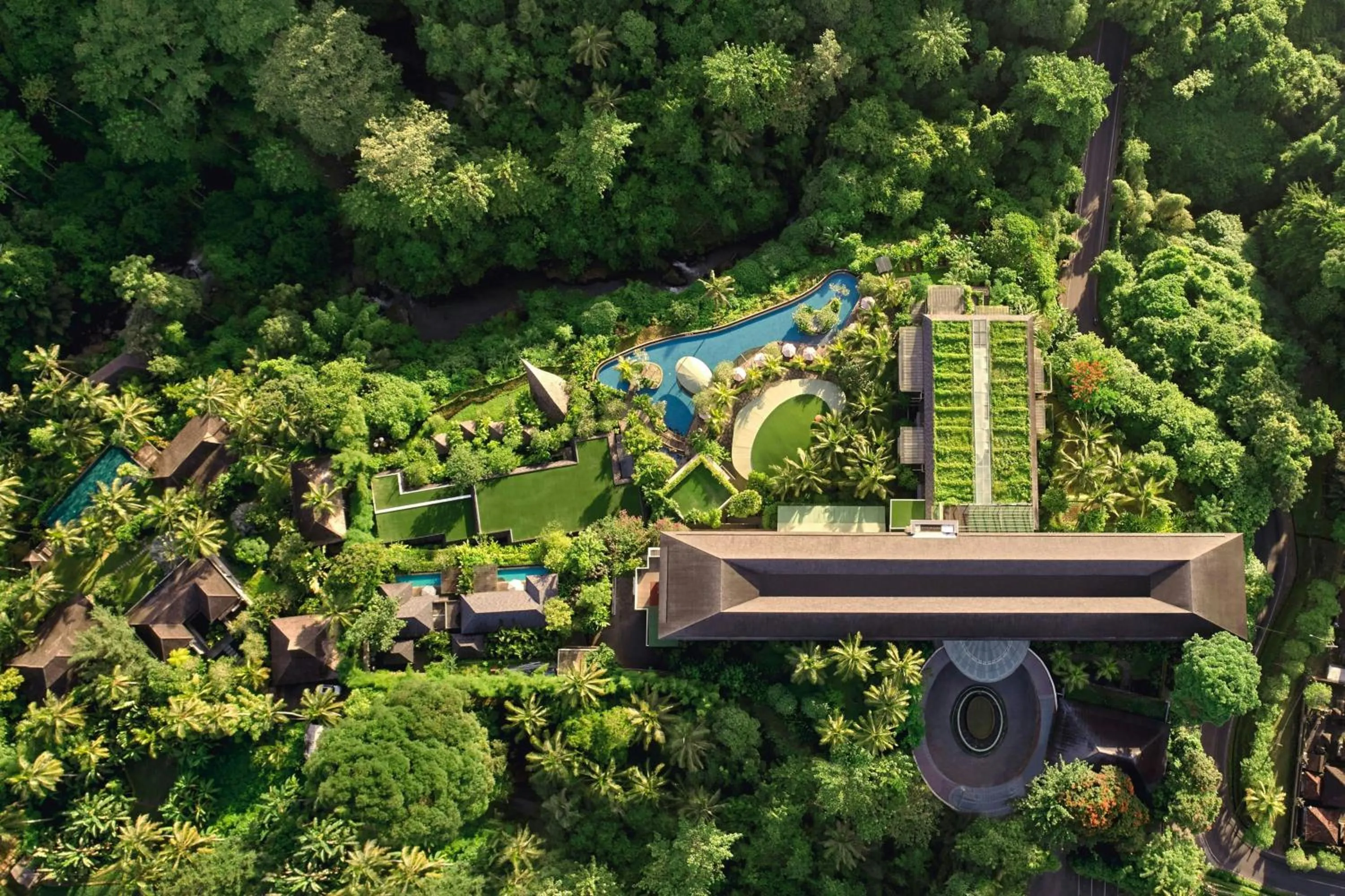 View (from property/room) in The Westin Resort & Spa Ubud, Bali