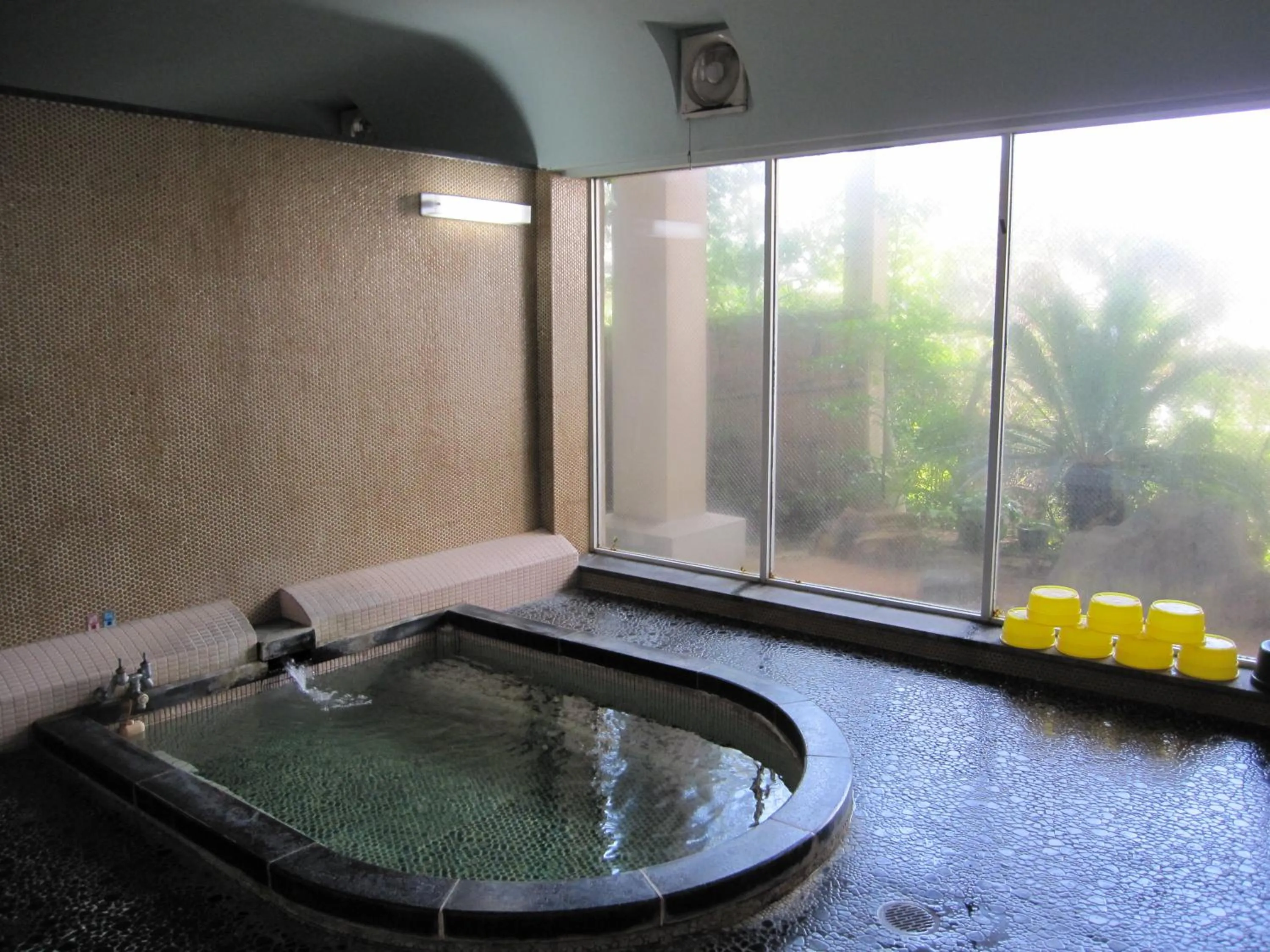 Hot Spring Bath in Masuya Ryokan