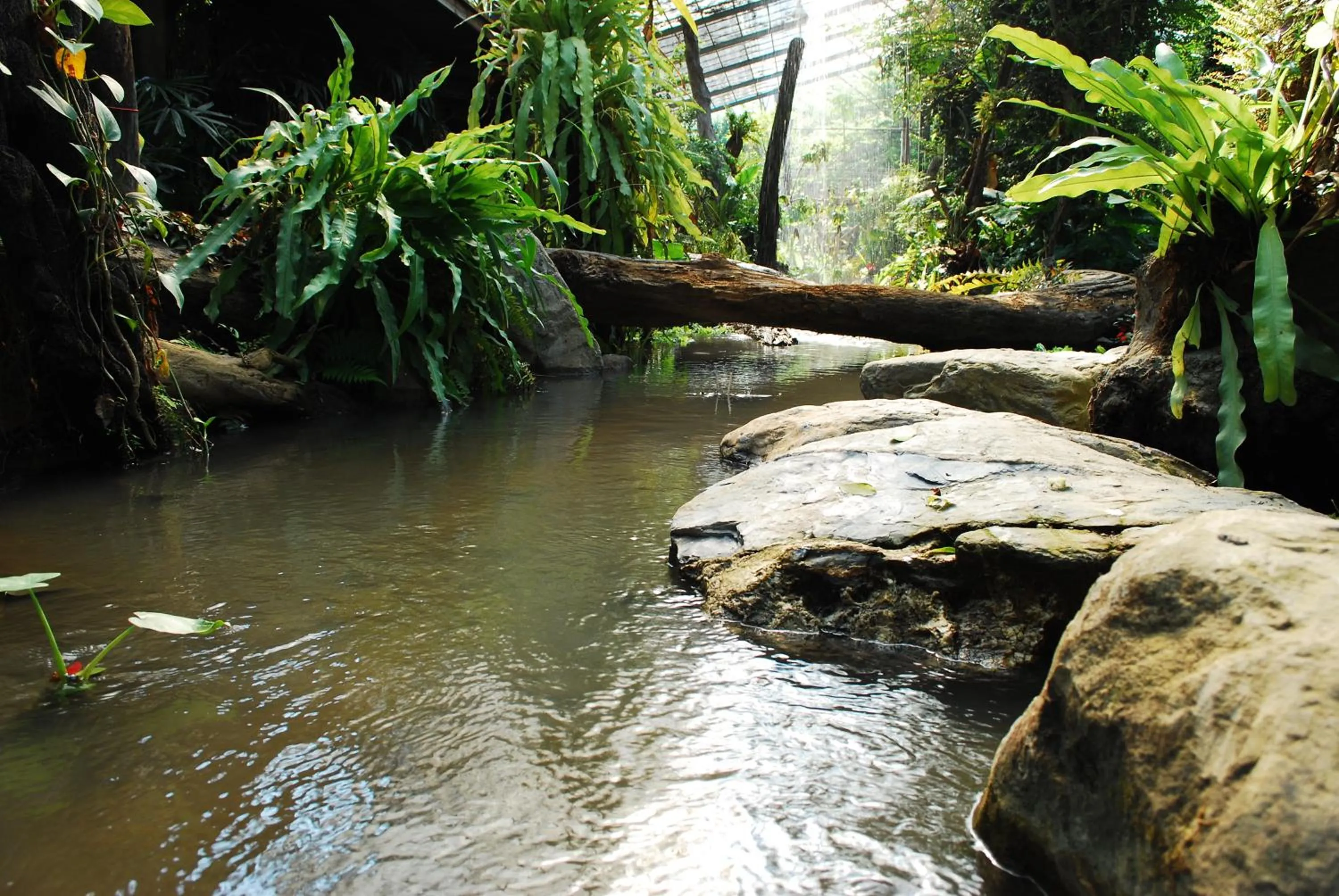 Tai-Yi Red Maple Resort