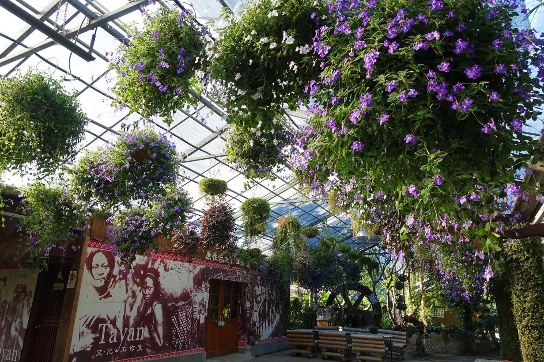 Tai-Yi Red Maple Resort