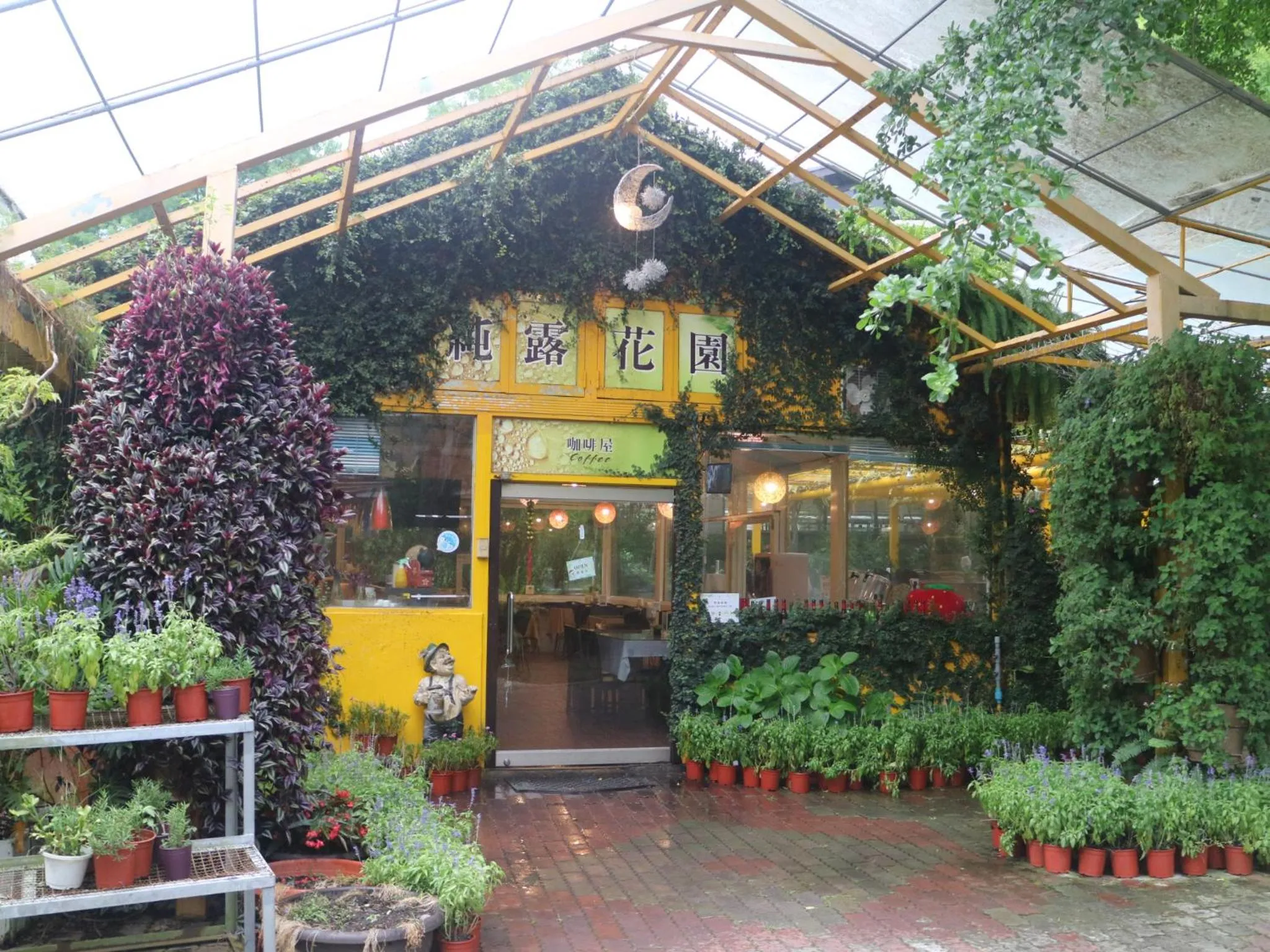 Tai-Yi Red Maple Resort