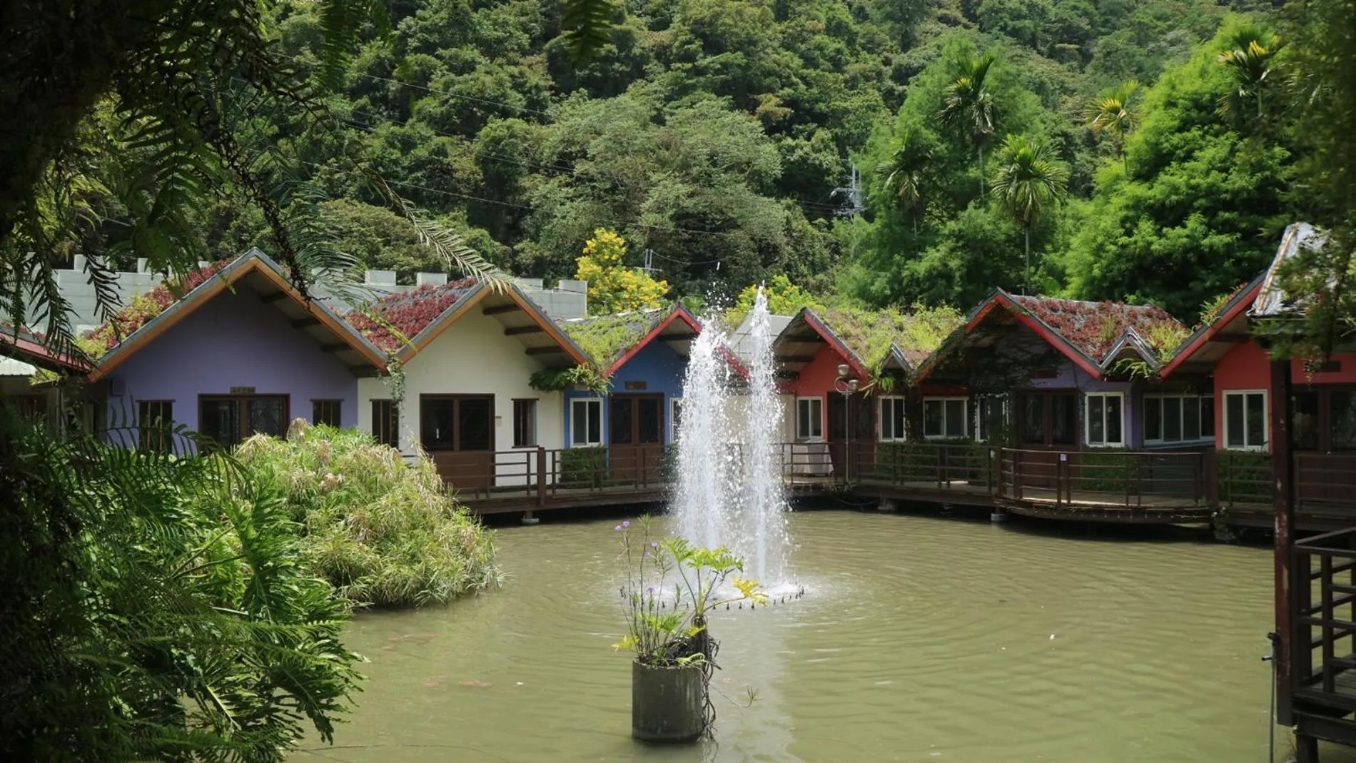 Tai-Yi Red Maple Resort