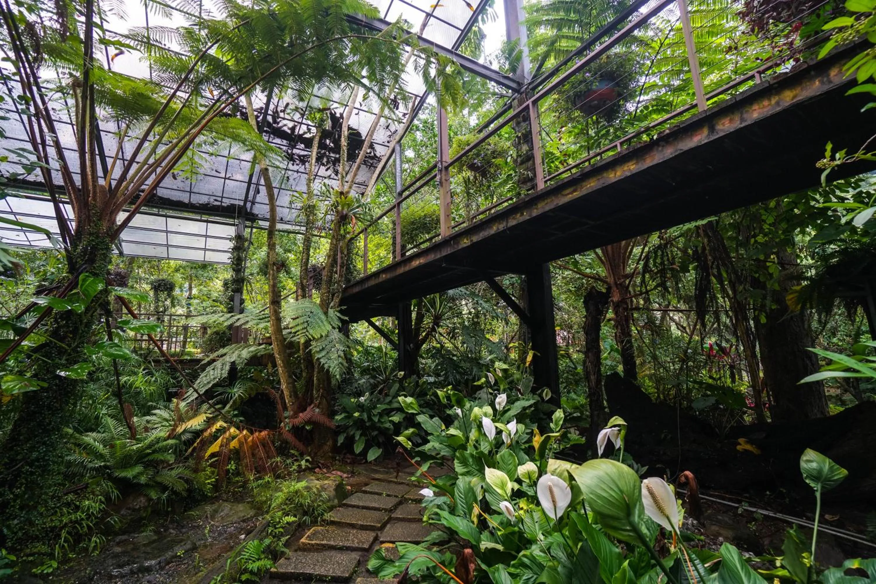 Tai-Yi Red Maple Resort