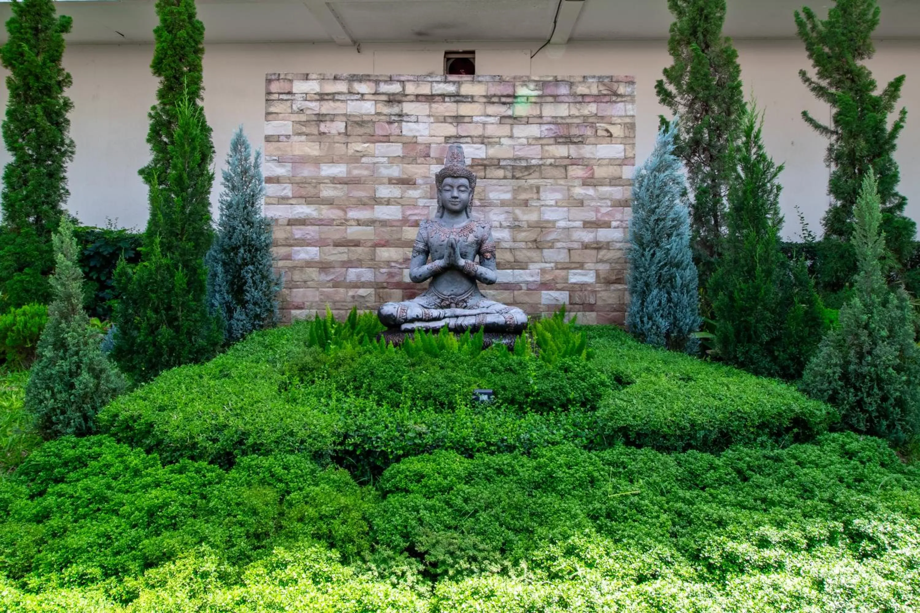 Garden in Thai Garden Resort