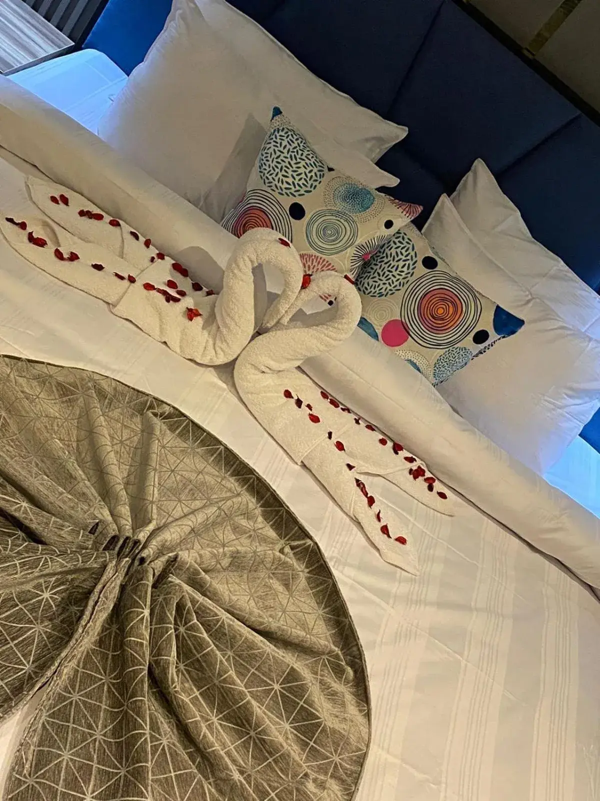 Superior Double Room - single occupancy in Elite Pyramids Boutique Hotel Superior Double Room - single occupancy in Elite Pyramids Boutique Hotel