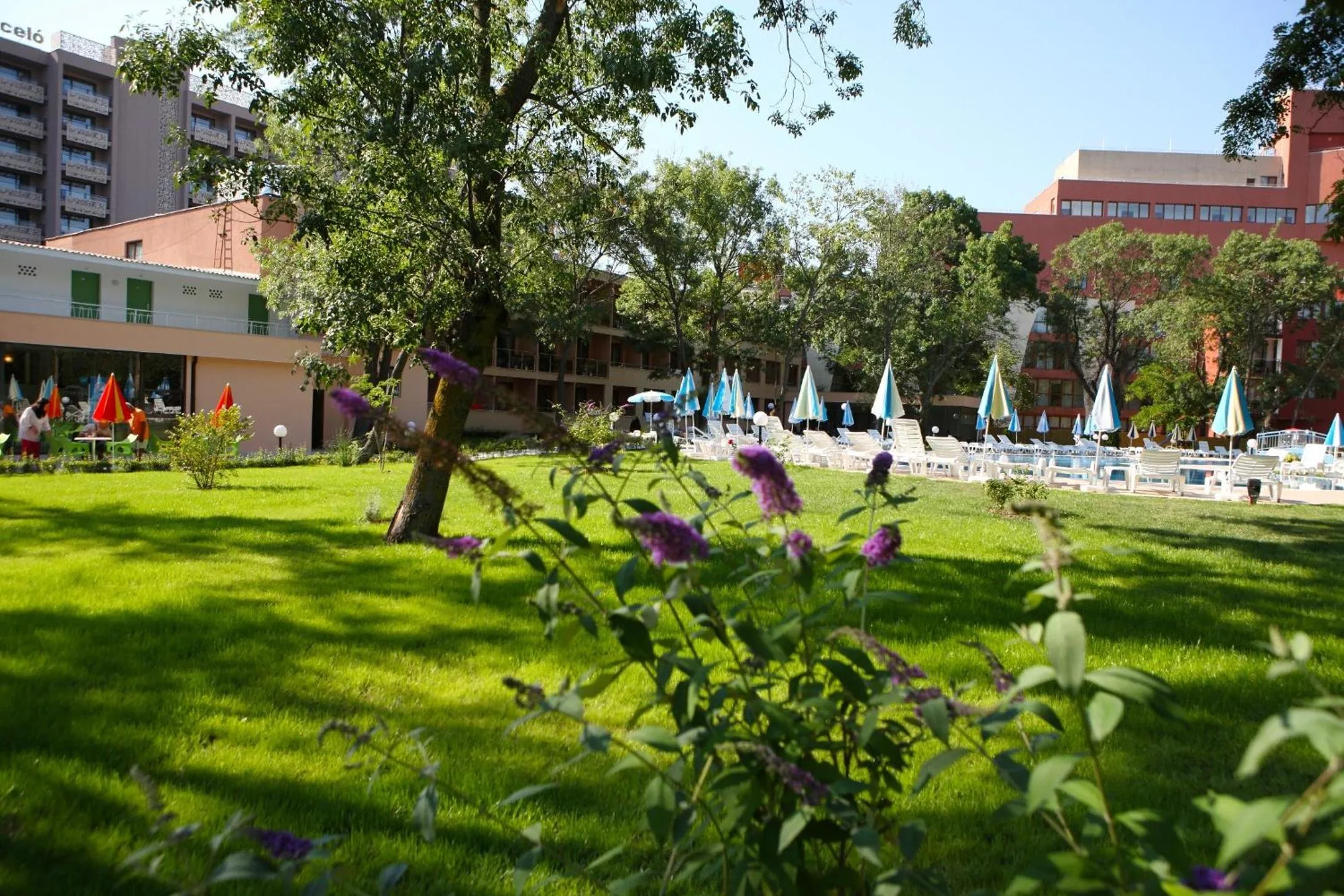 Garden in Hotel Yunona - All Inclusive