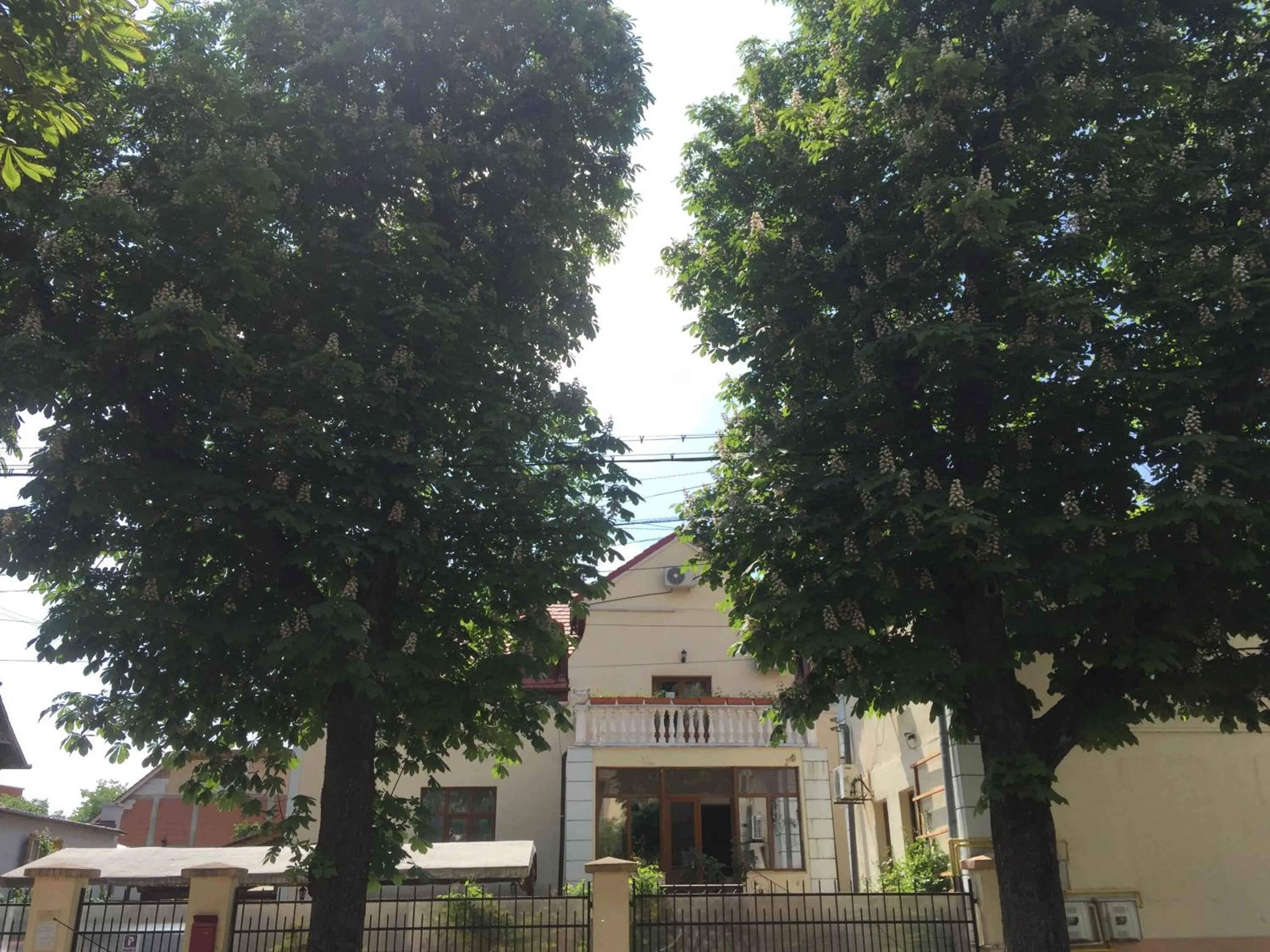 Property building in Pensiunea Buon Gusto Sibiu-motorcyle friendly,city center