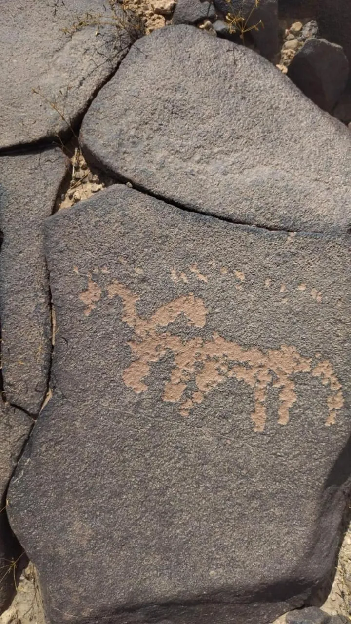 Nearby landmark in Riad Assia Foum Zguid