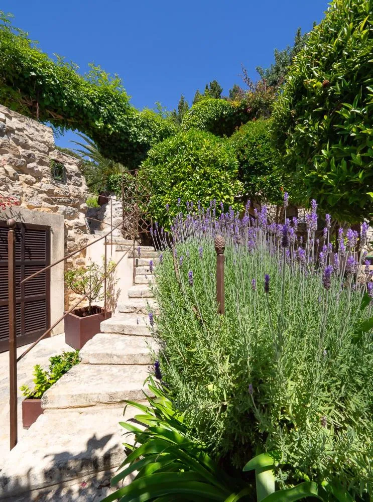 Hotel & Restaurant Jardi d'Artà