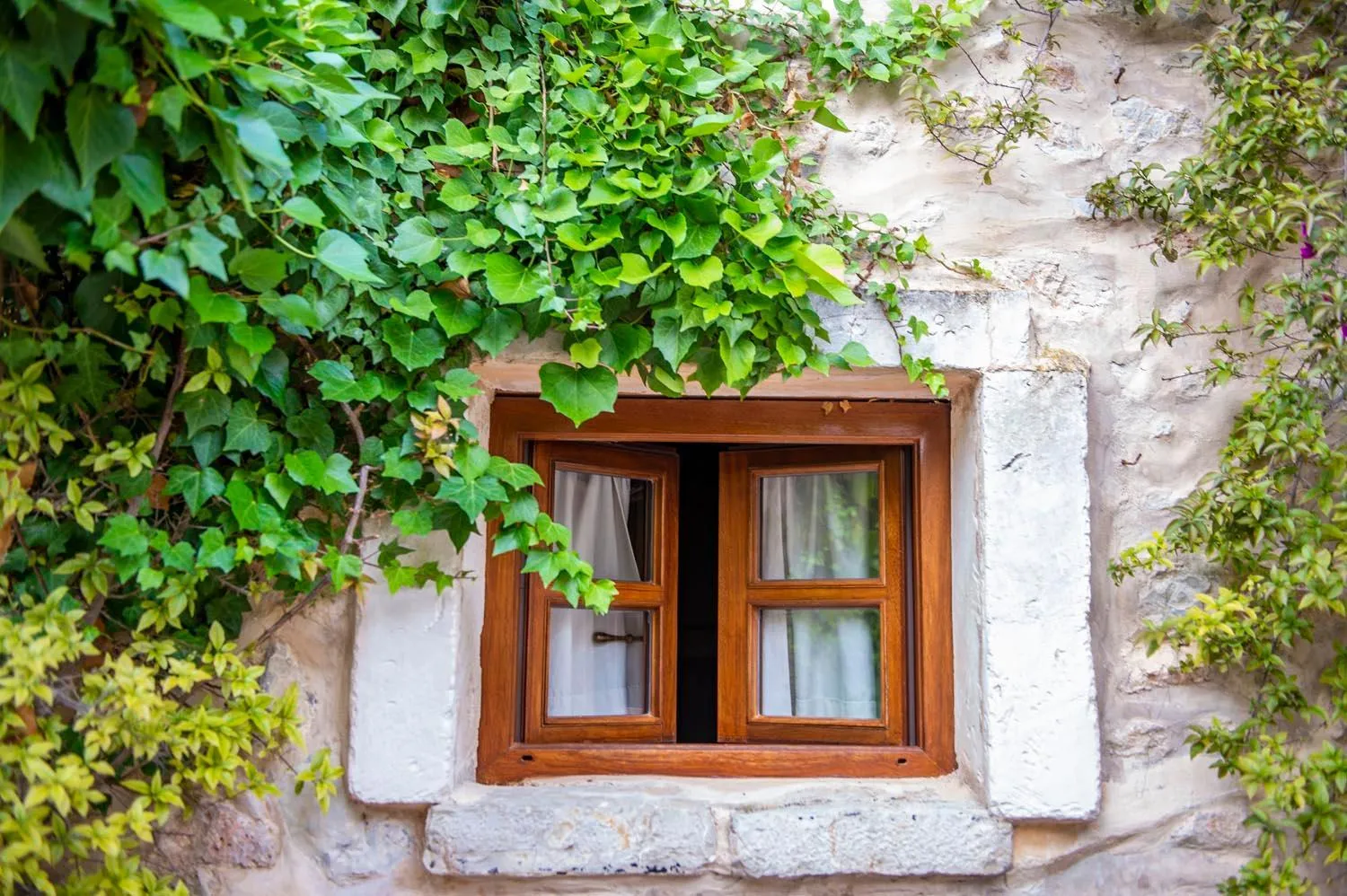 Garden in Hotel & Restaurant Jardi d'Artà