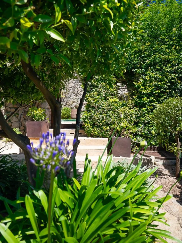 Garden in Hotel & Restaurant Jardi d'Artà
