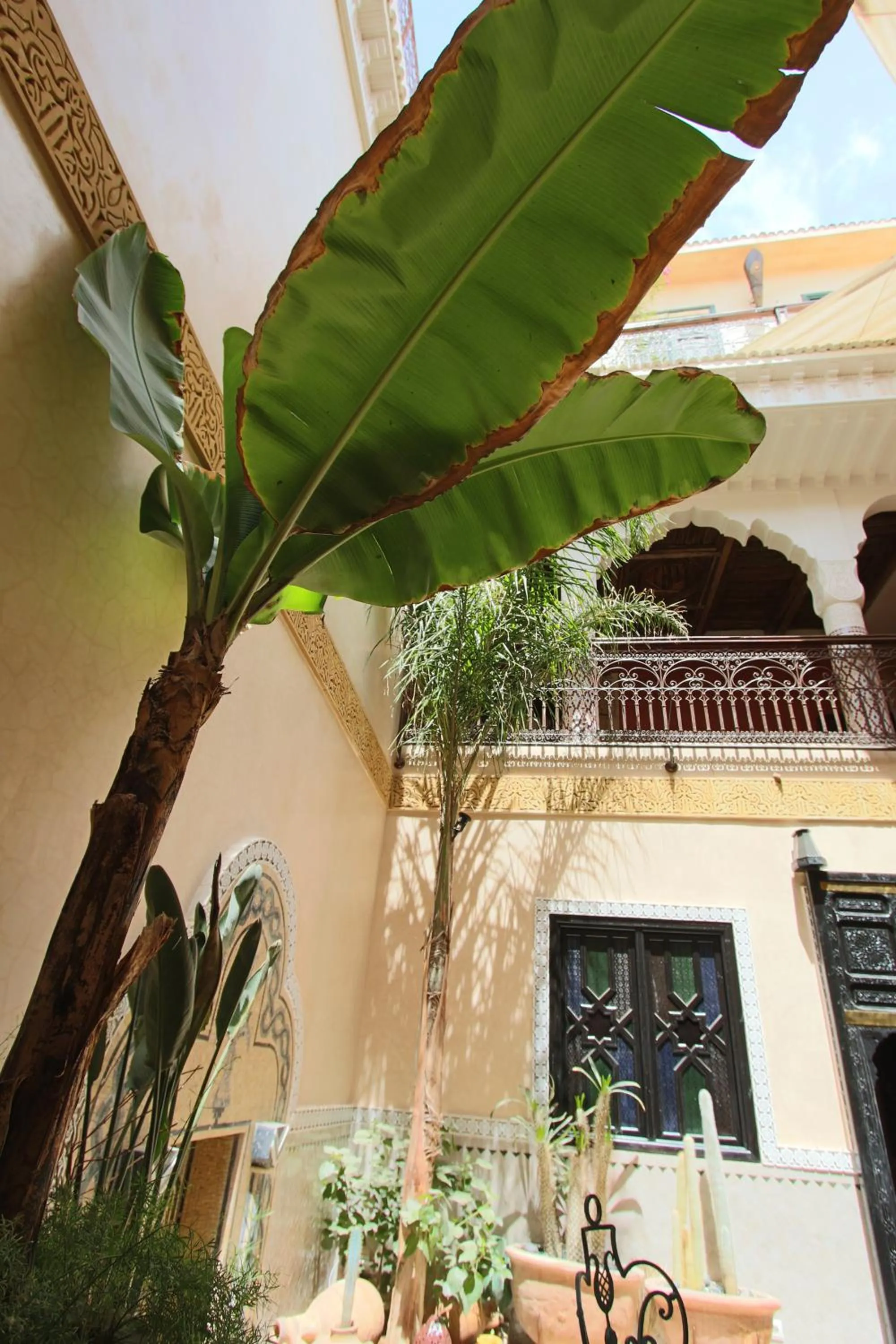 Patio in RIAD MAKENE MOUCHKILL