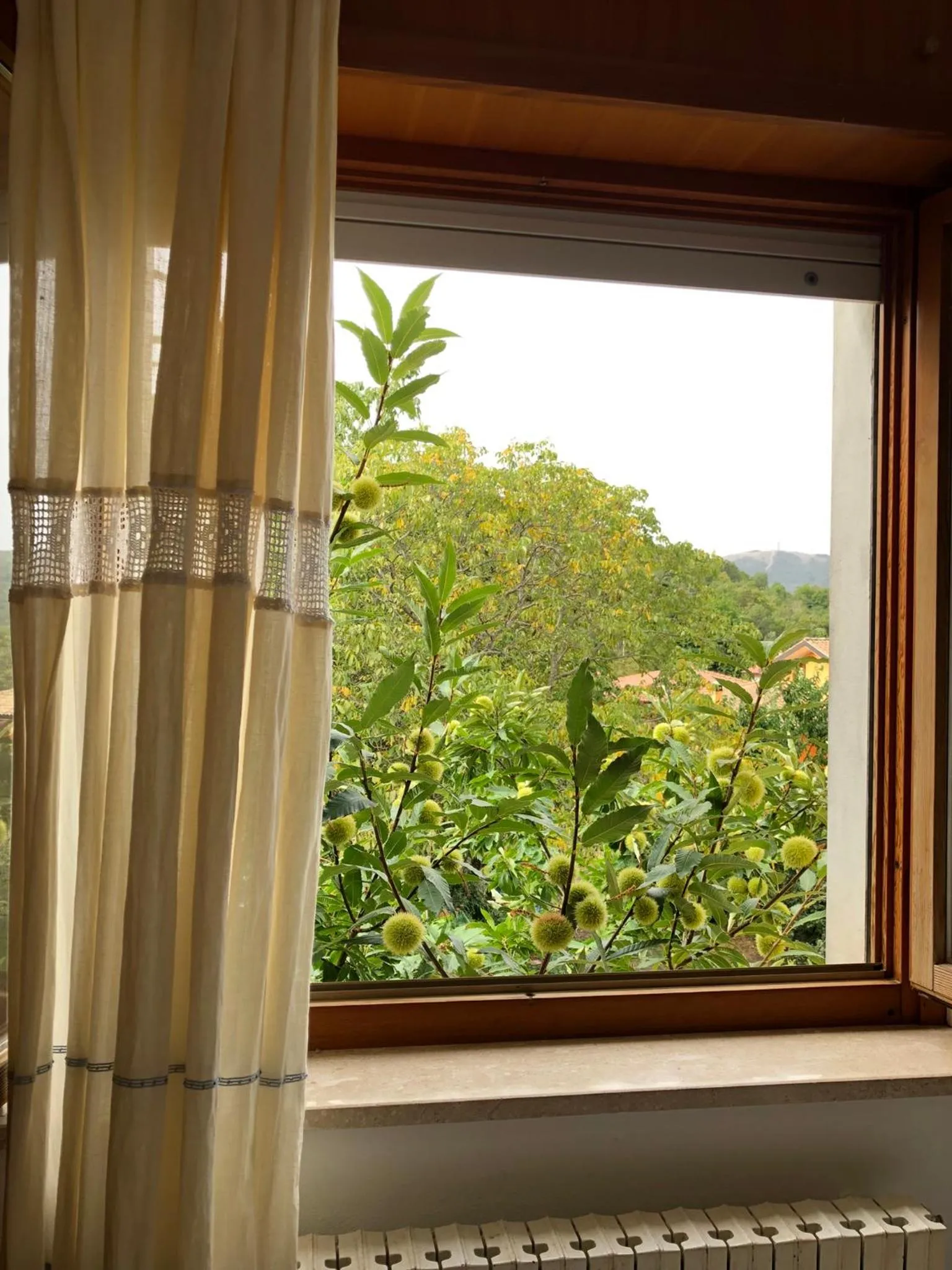 Natural landscape in Hotel La Capannina