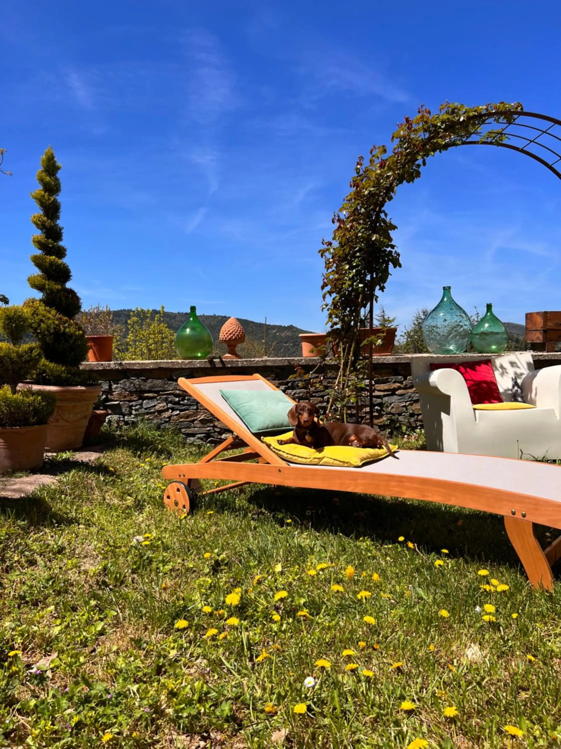 Garden in Hotel La Capannina