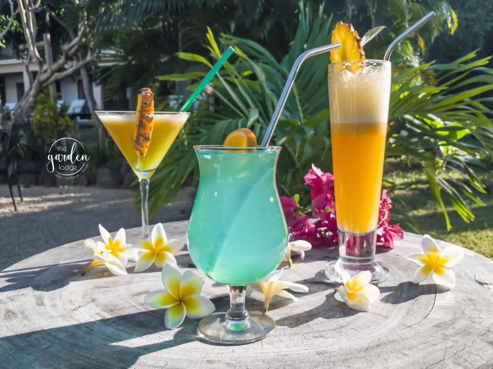 Garden in The Garden Lodge Pereybere - Piscine & Jardin