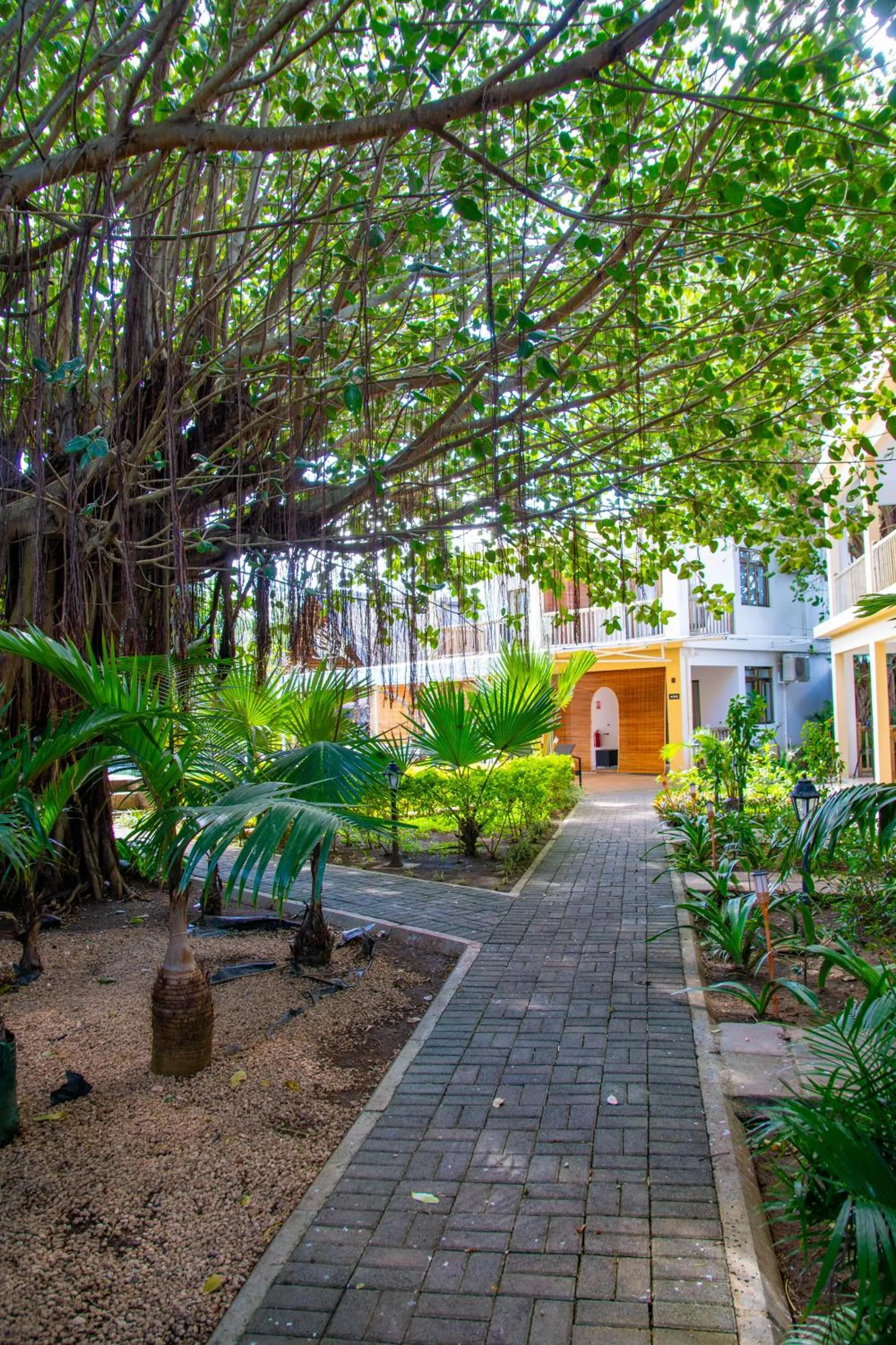 Facade/entrance in The Garden Lodge Pereybere - Piscine & Jardin