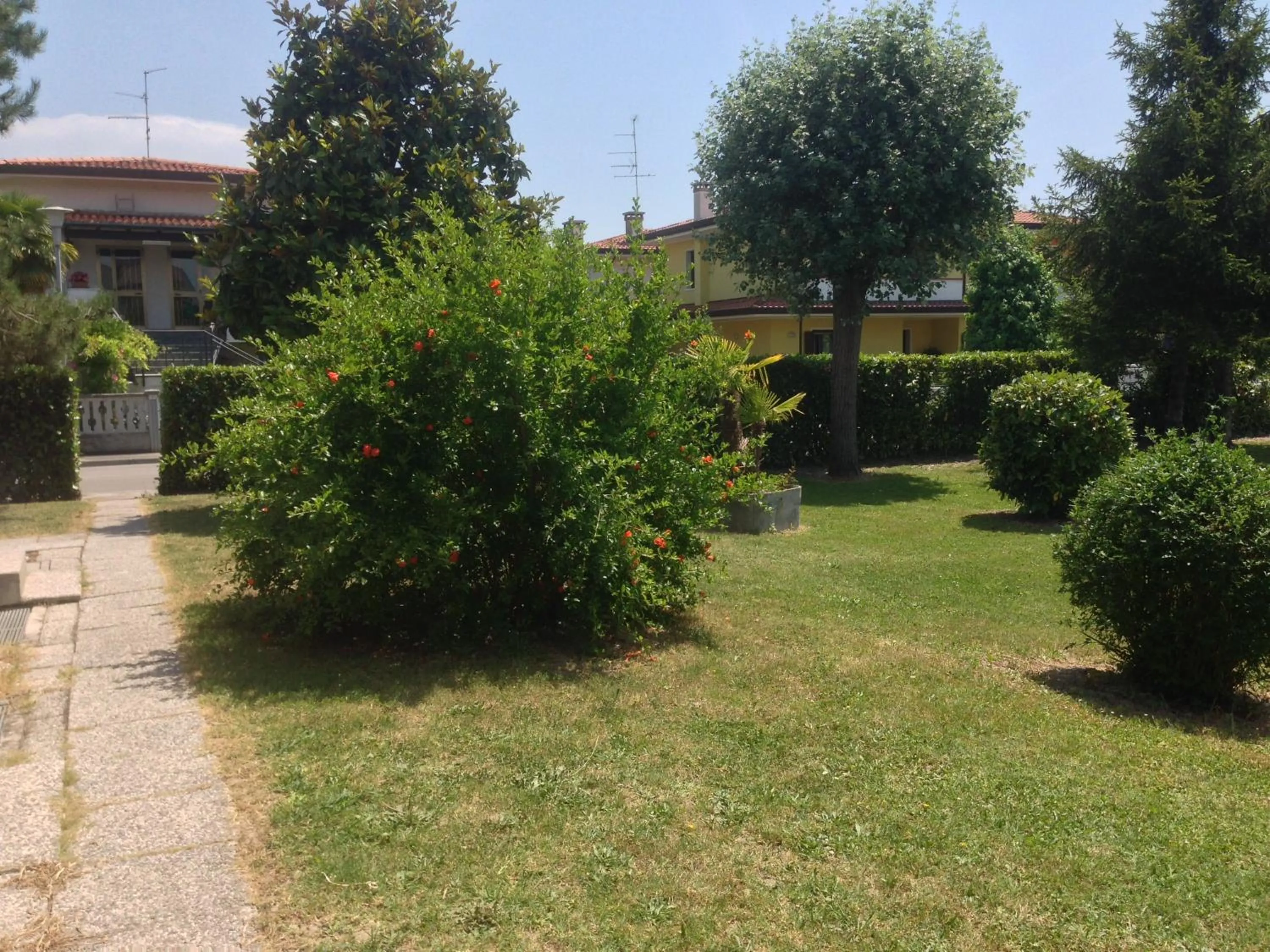 Garden in Hotel Al Fogo