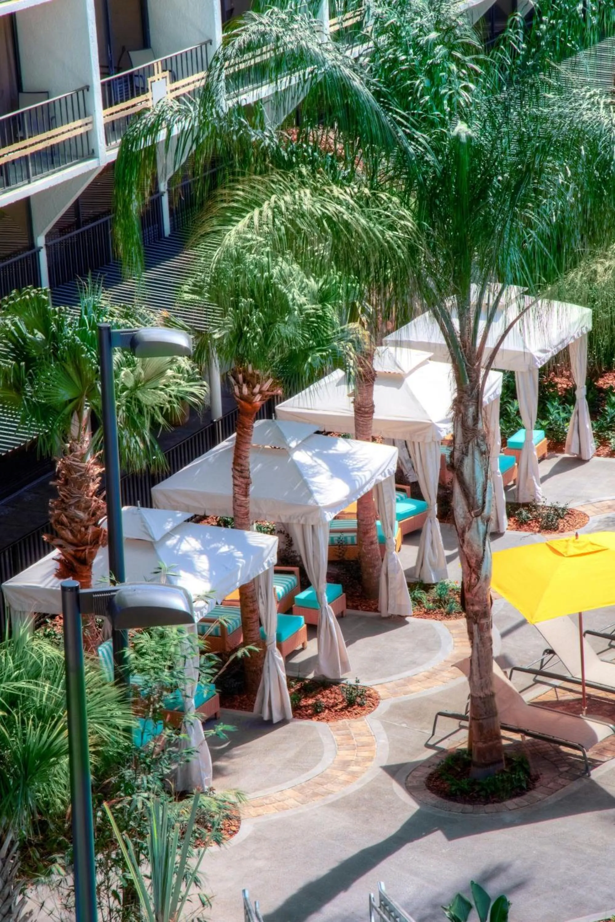 Swimming pool in Sheraton Orlando Lake Buena Vista Resort