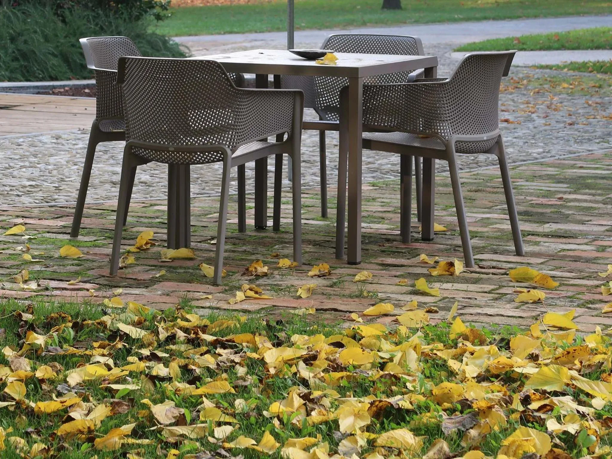 Autumn in Sacramora