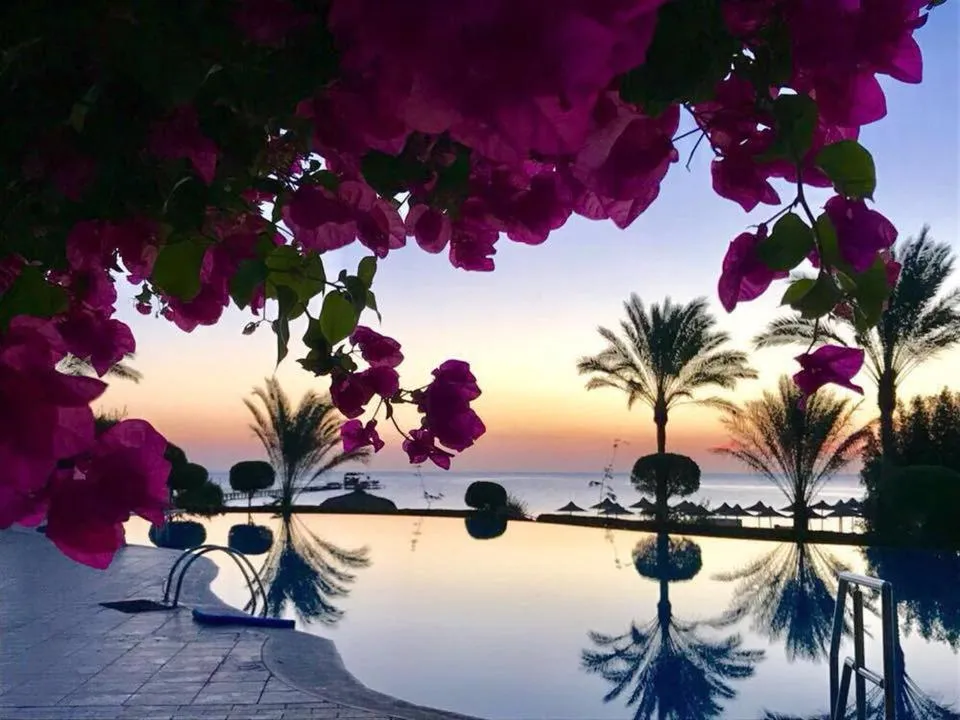 TUI MAGIC LIFE Kalawy