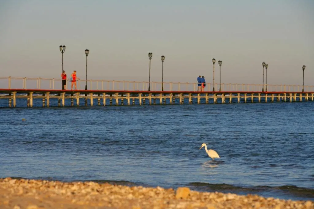 TUI MAGIC LIFE Kalawy