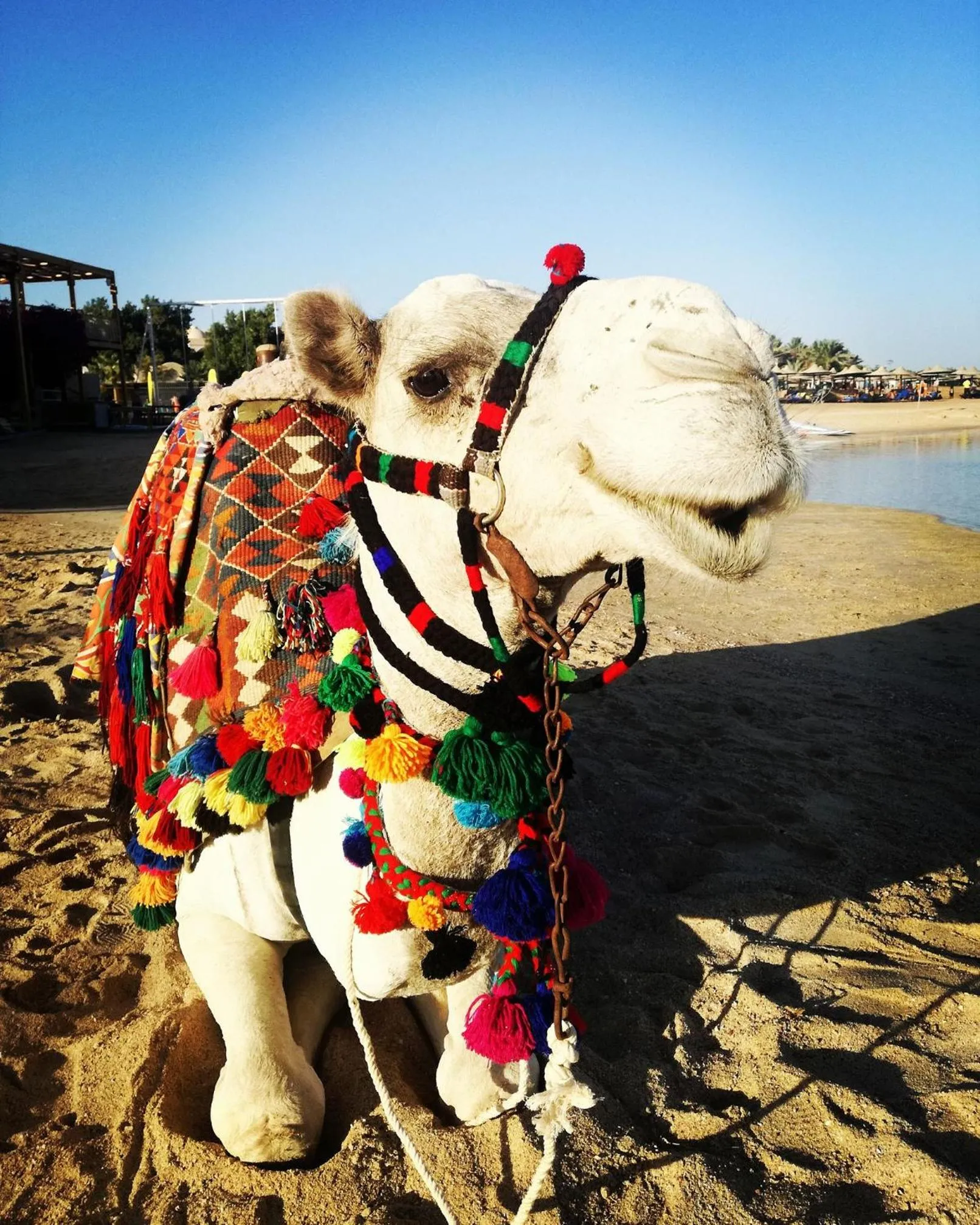 TUI MAGIC LIFE Kalawy