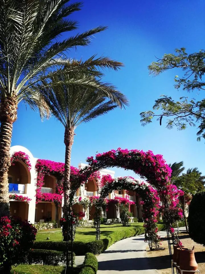 TUI MAGIC LIFE Kalawy