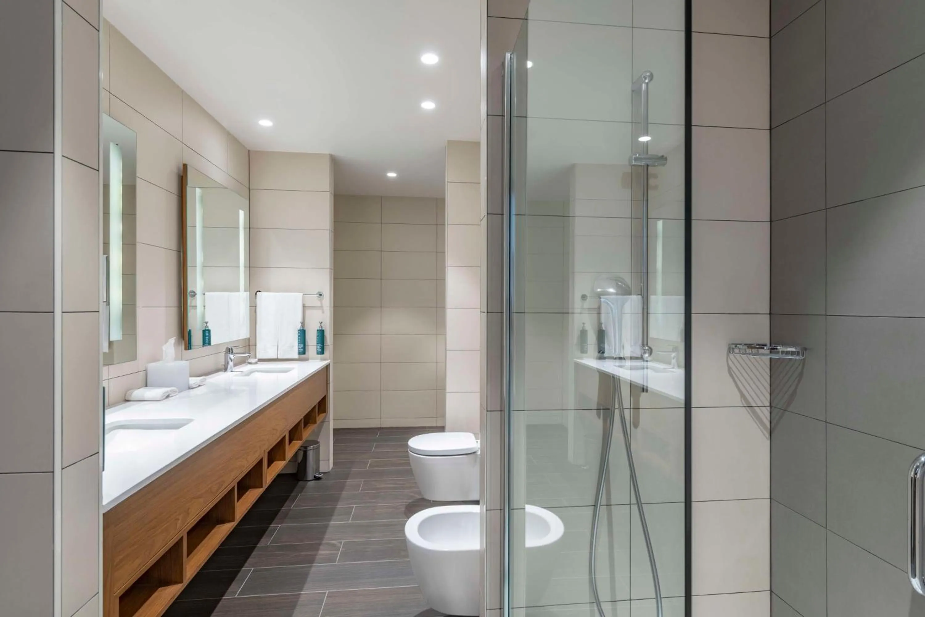 Bathroom in Hilton Garden Inn Tbilisi Chavchavadze