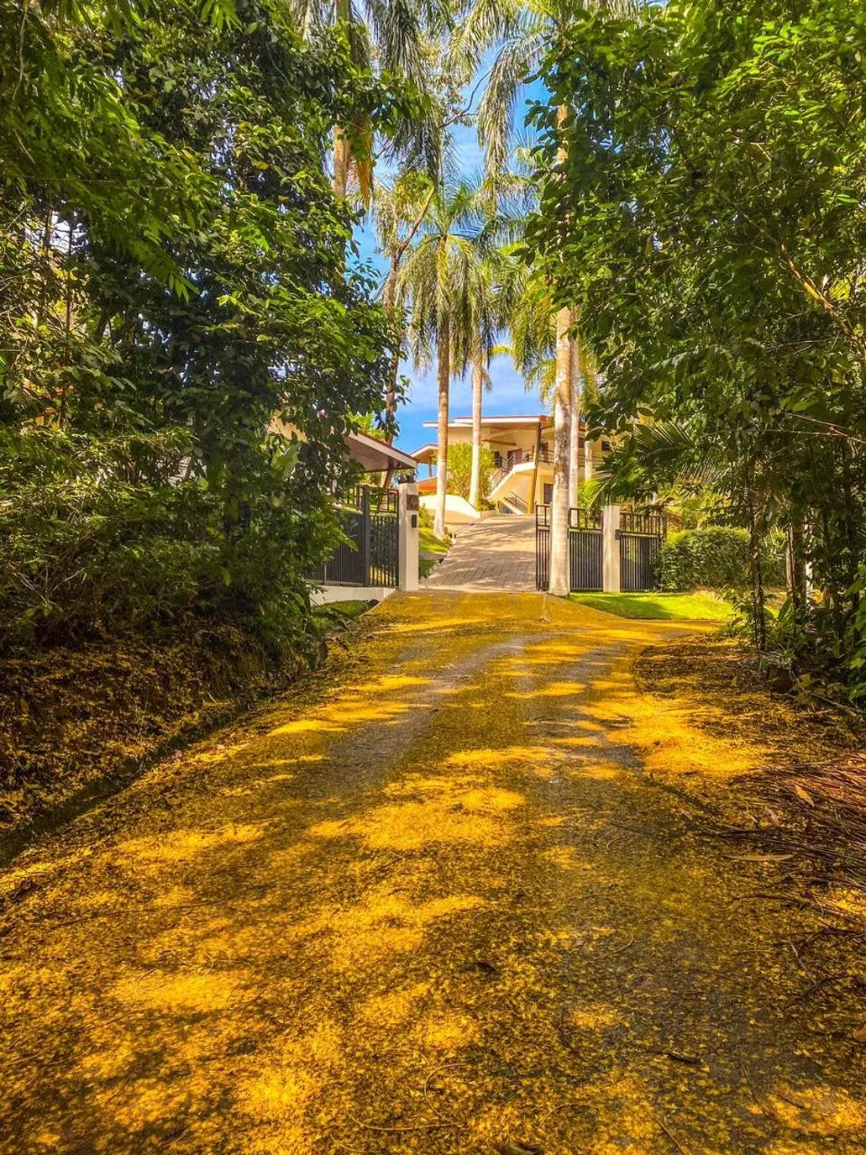 Natural landscape in Lapazul Boutique Hotel